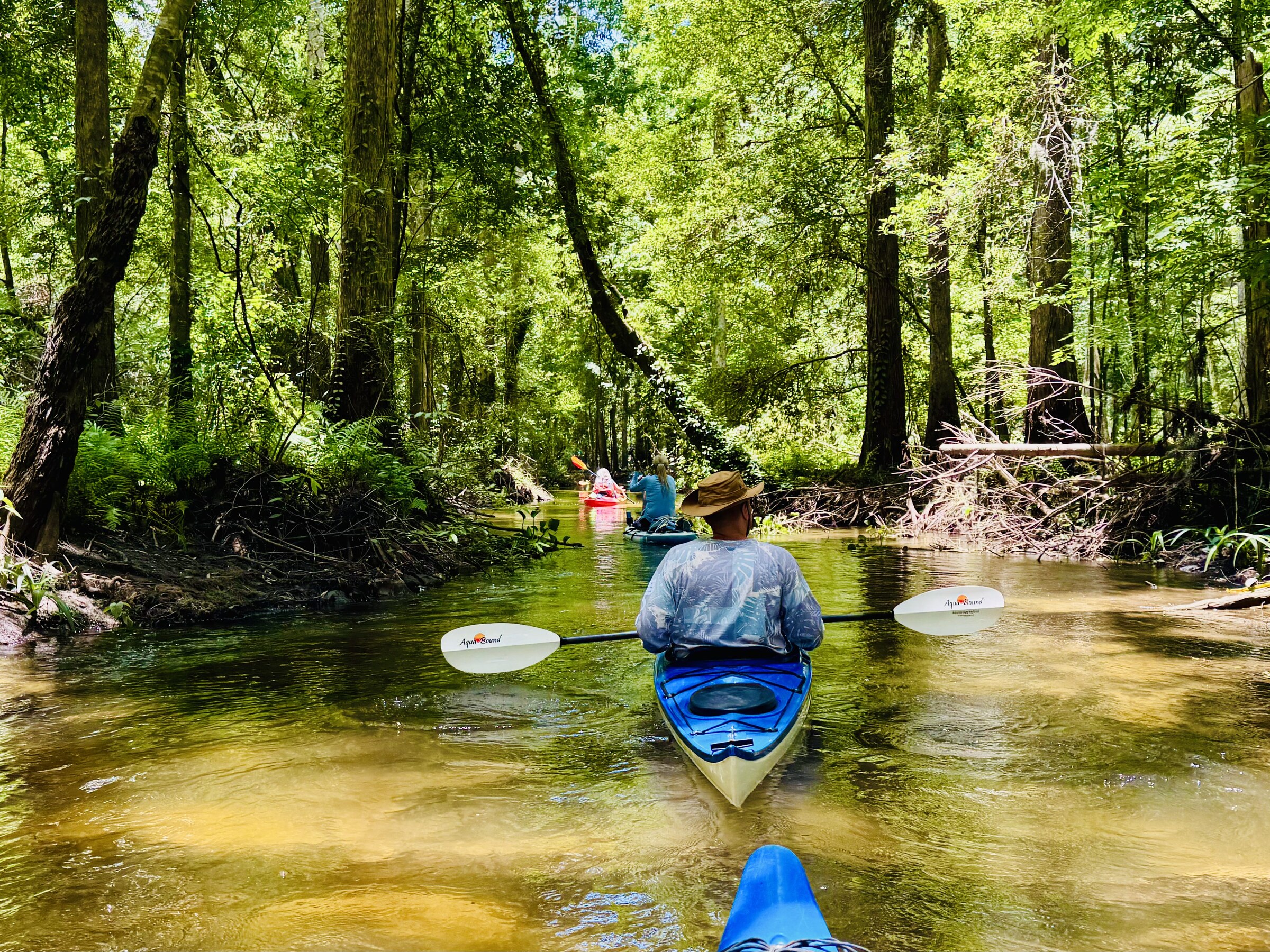 Kayakers in a sunlit forest channel