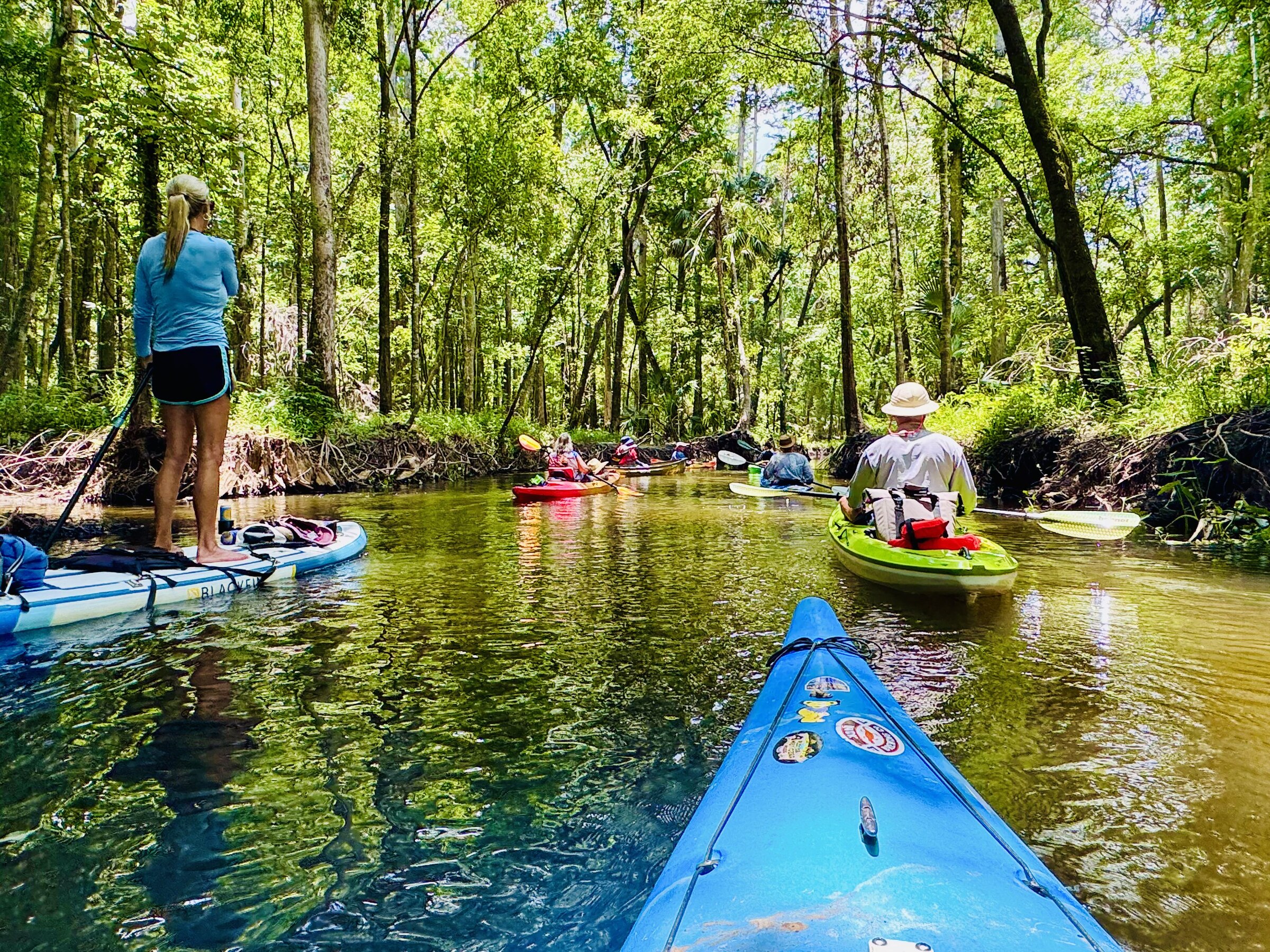Group paddling through a shallow wooded channel