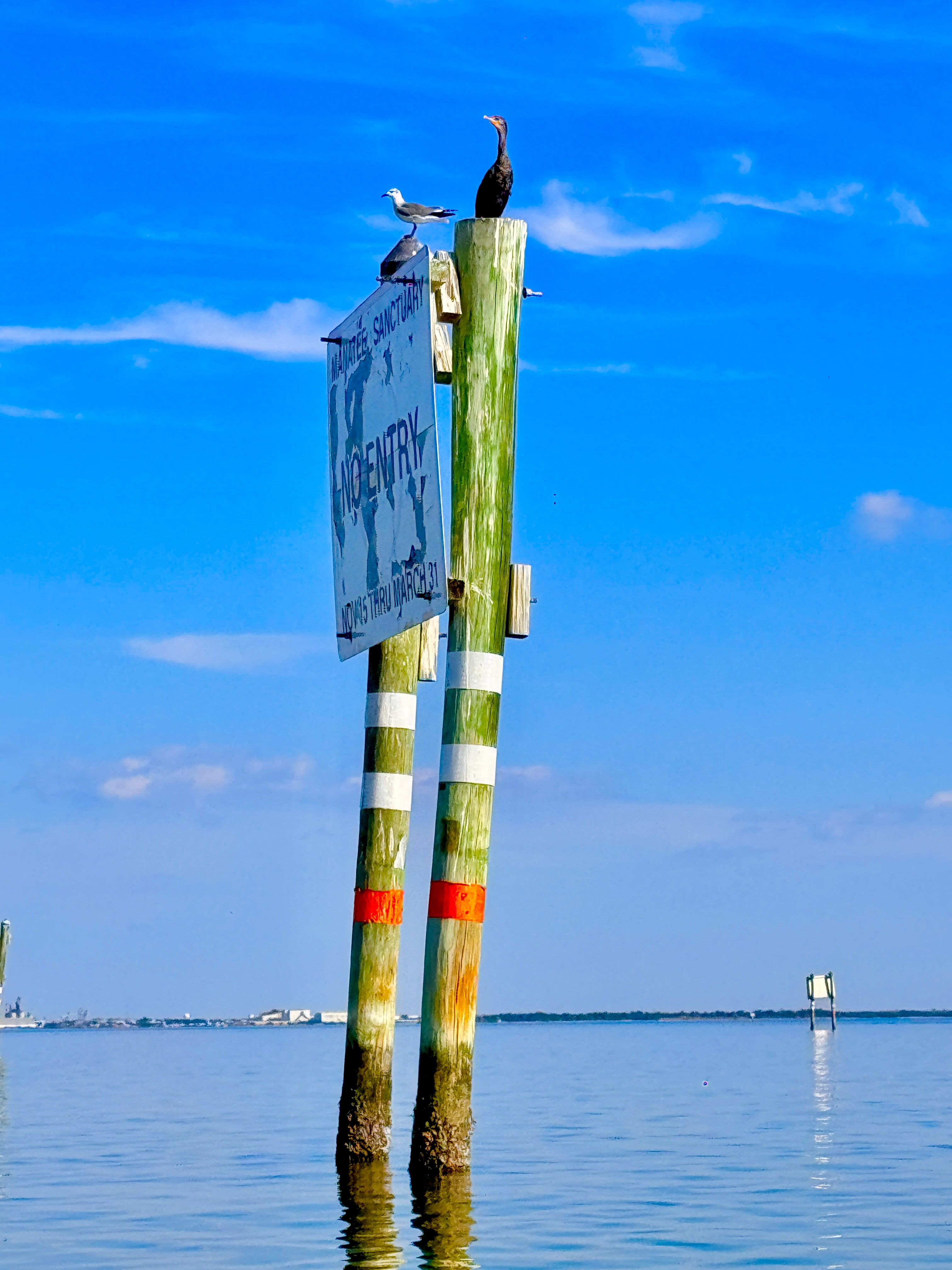 Channel marker near Gandy Beach