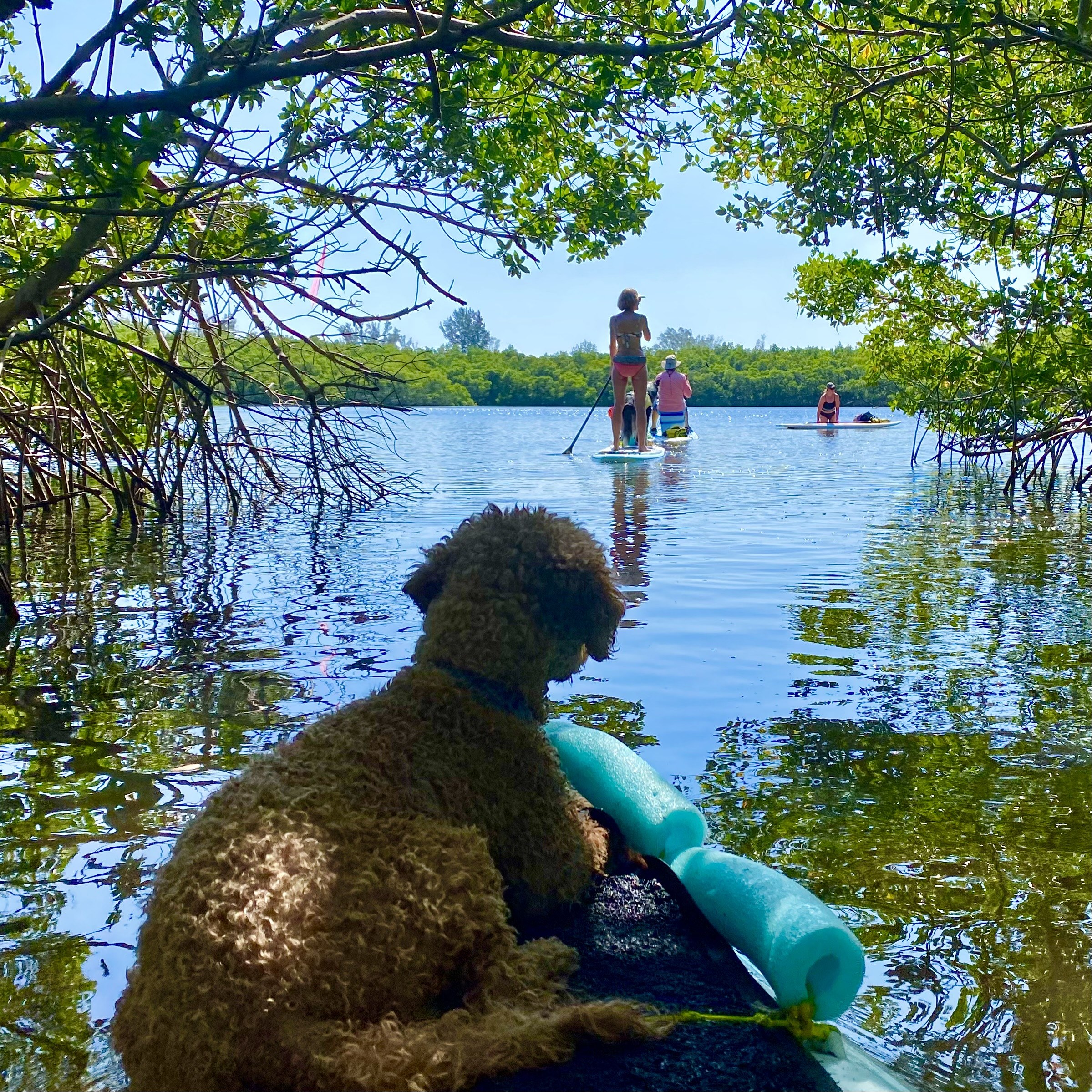 Paddlers heading out from the Gandy launch on a sunny May day.