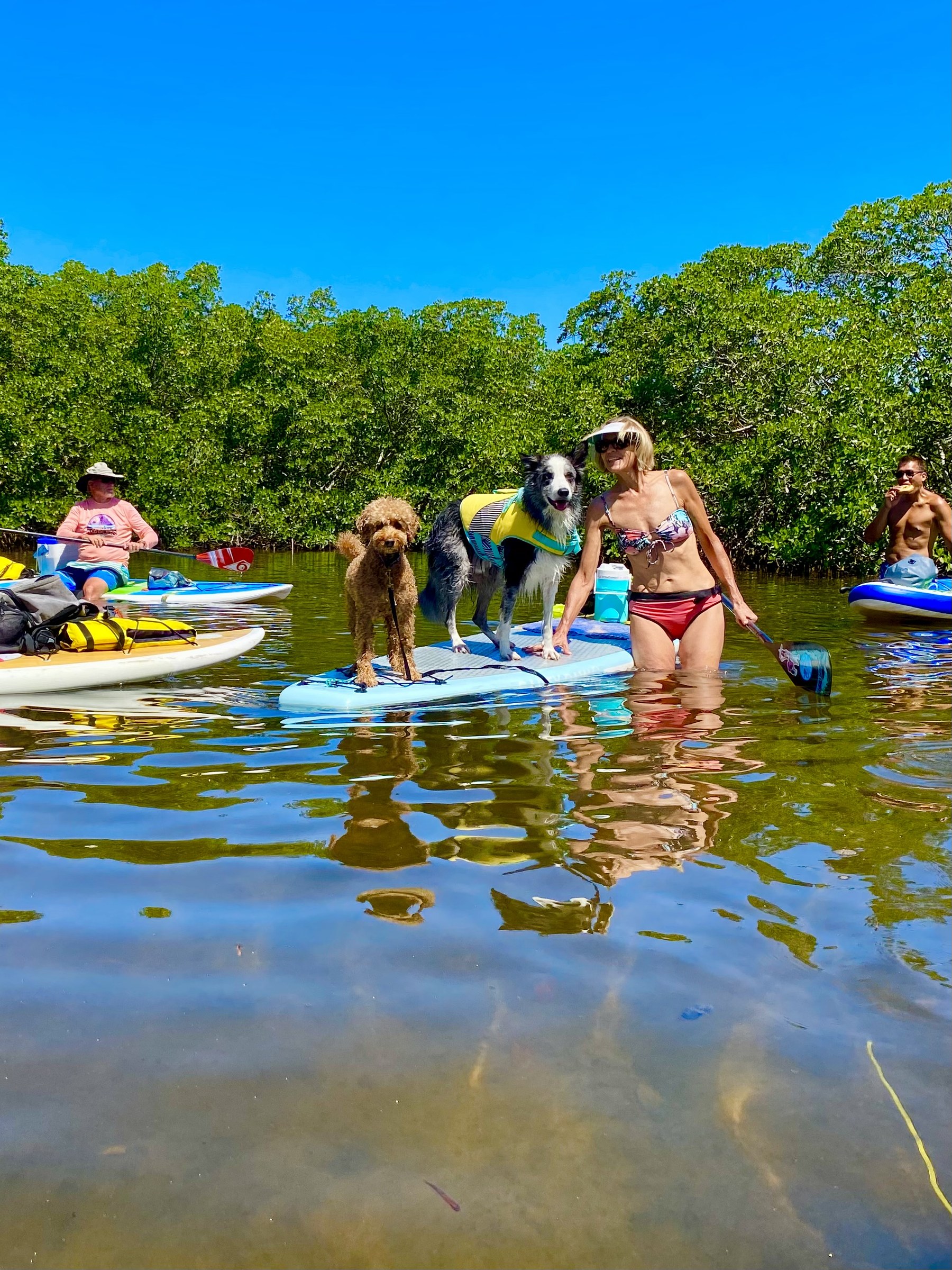 Pinellas Paddlers and dogs enjoying the warm shallow water and sandbars.