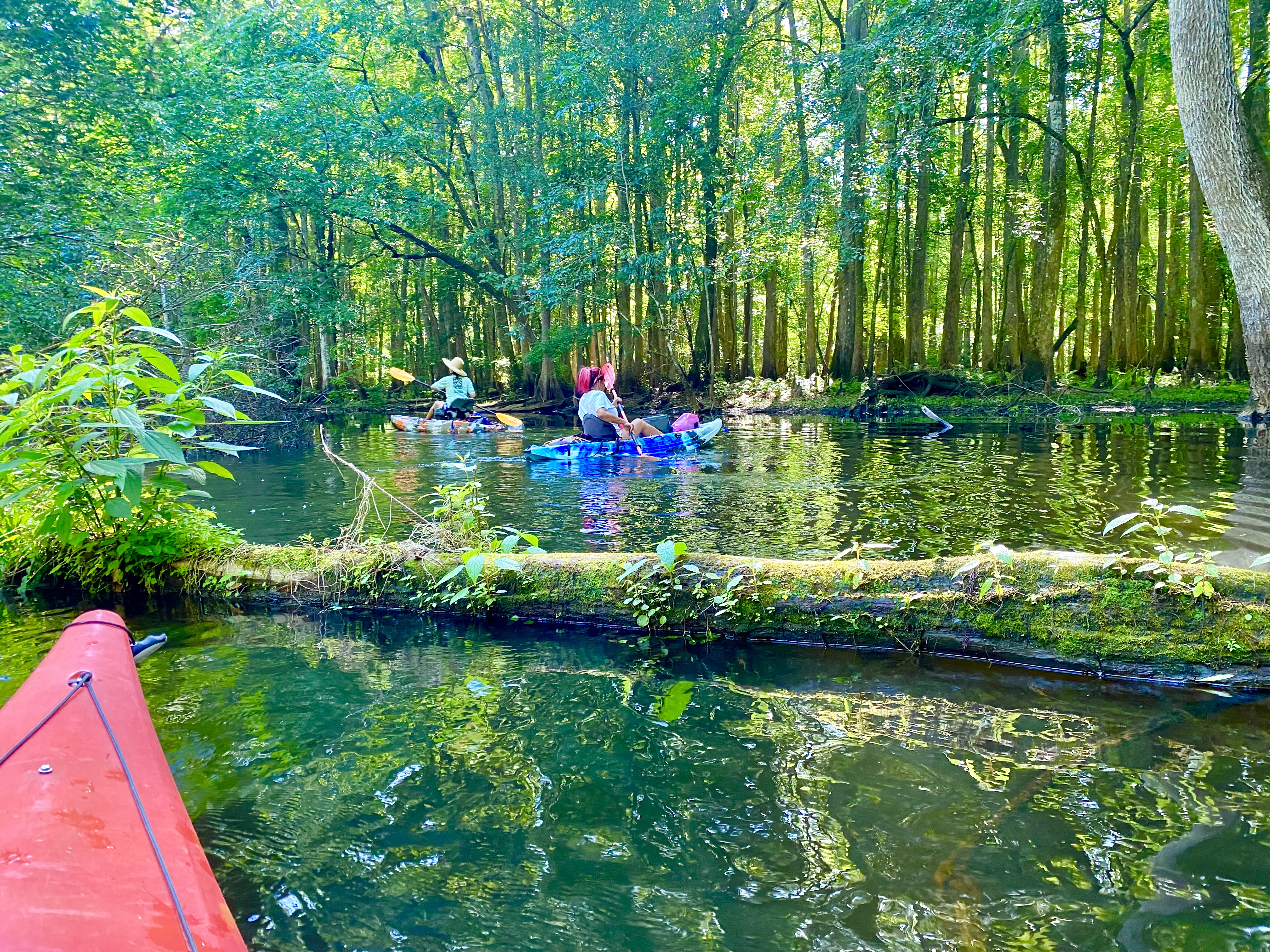 Hillsborough River paddle photo 04