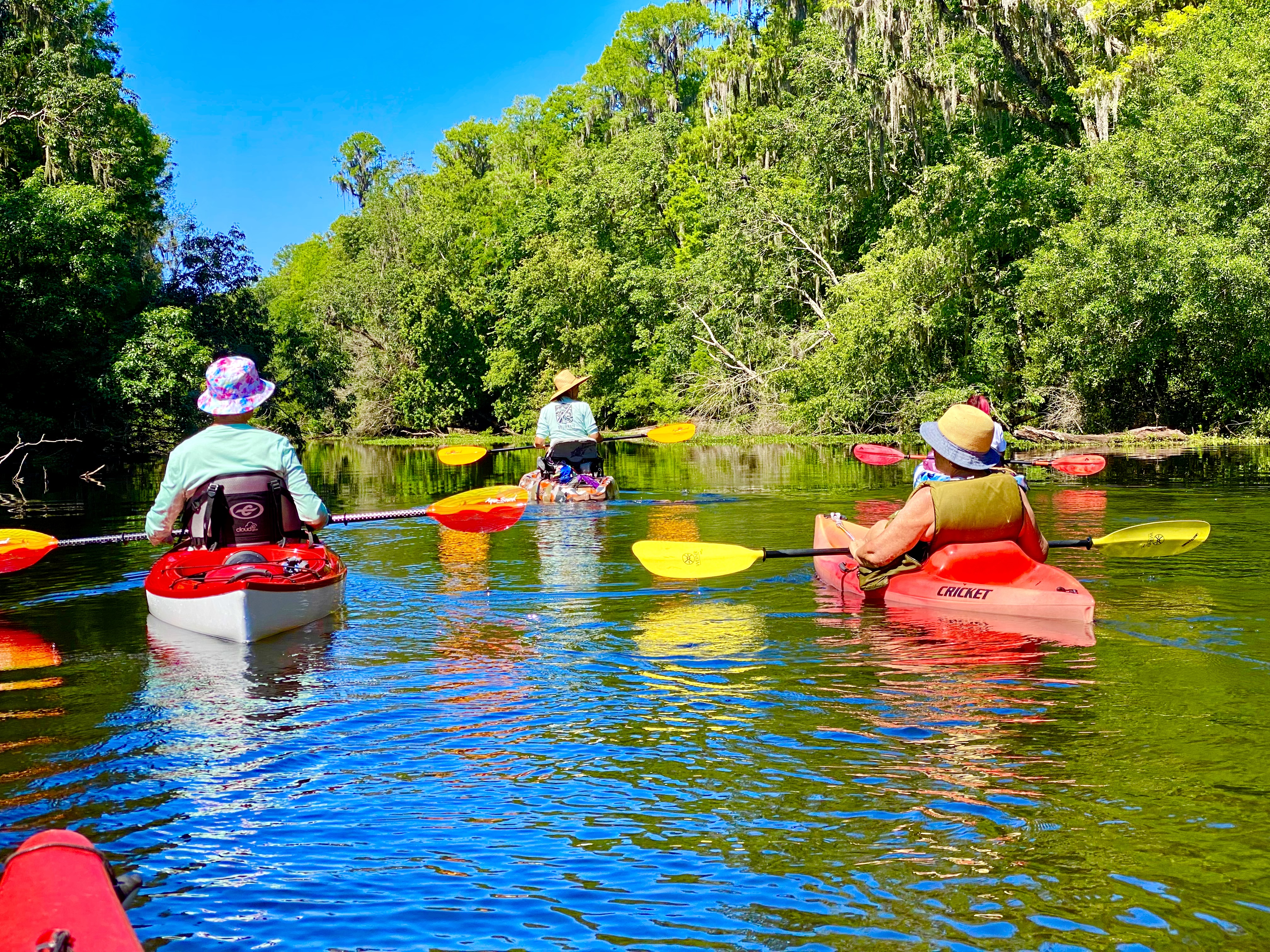 Hillsborough River paddle photo 15
