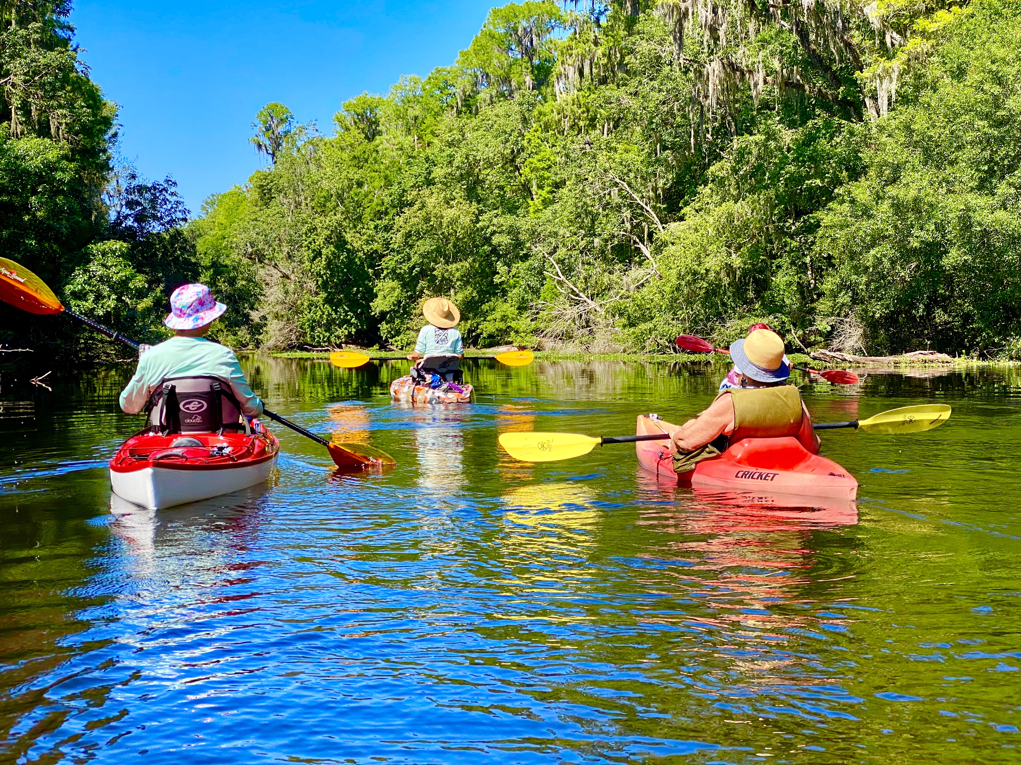 Paddling group on clear blue water beneath green trees