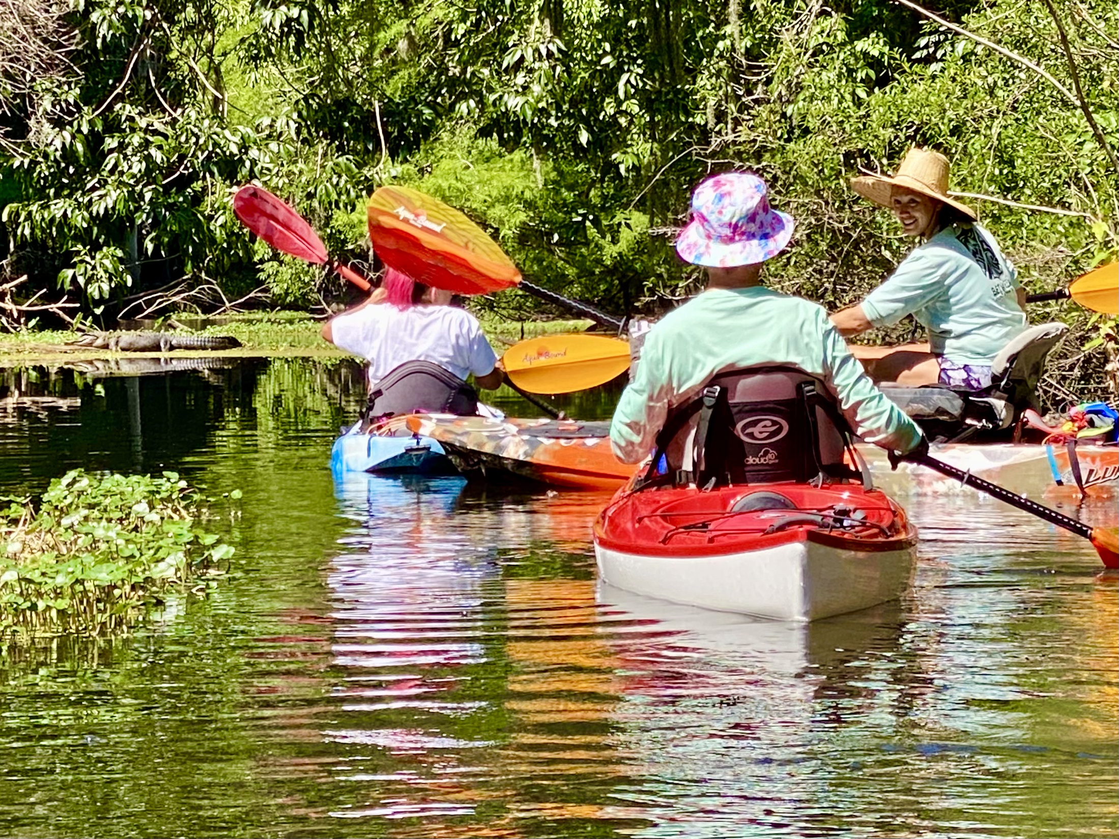 Hillsborough River paddle photo 18