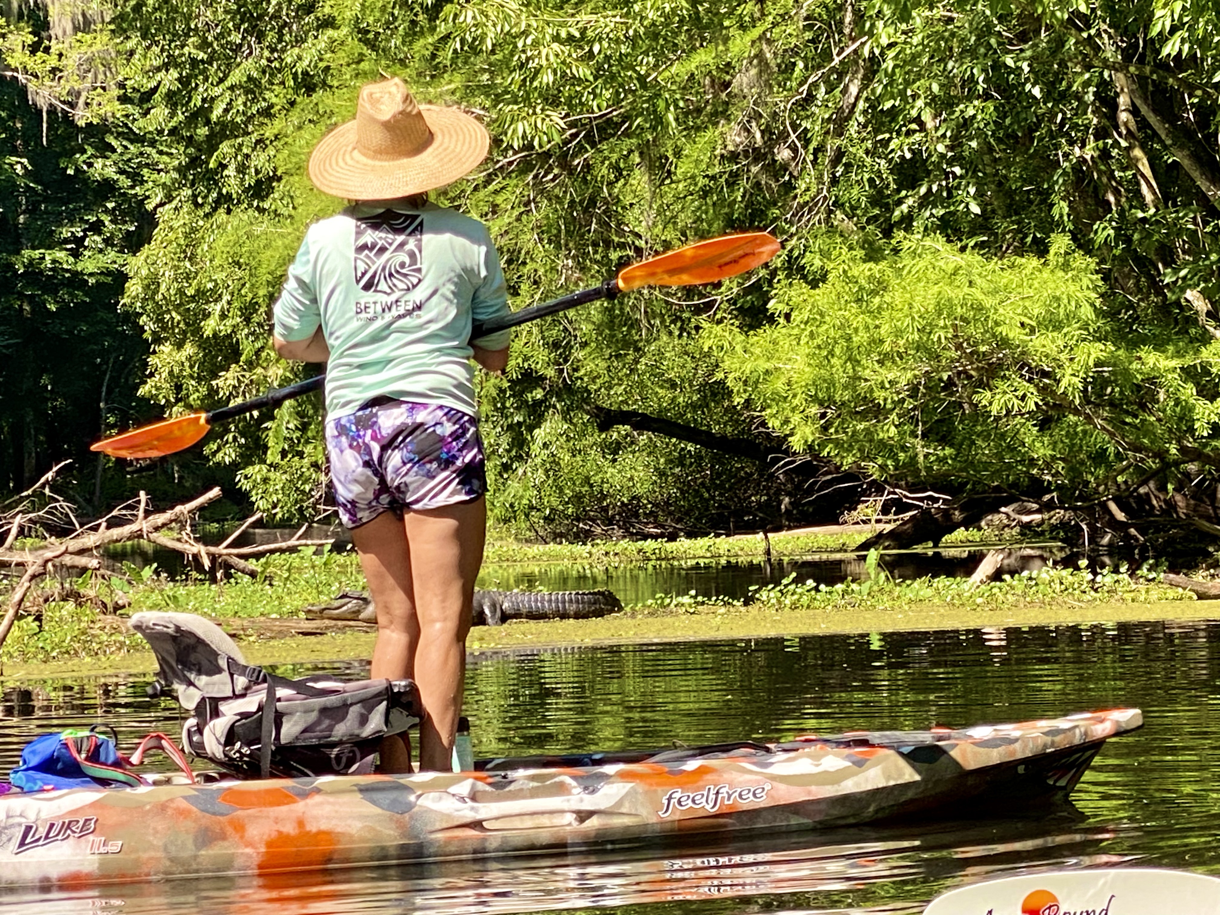 Hillsborough River paddle photo 21