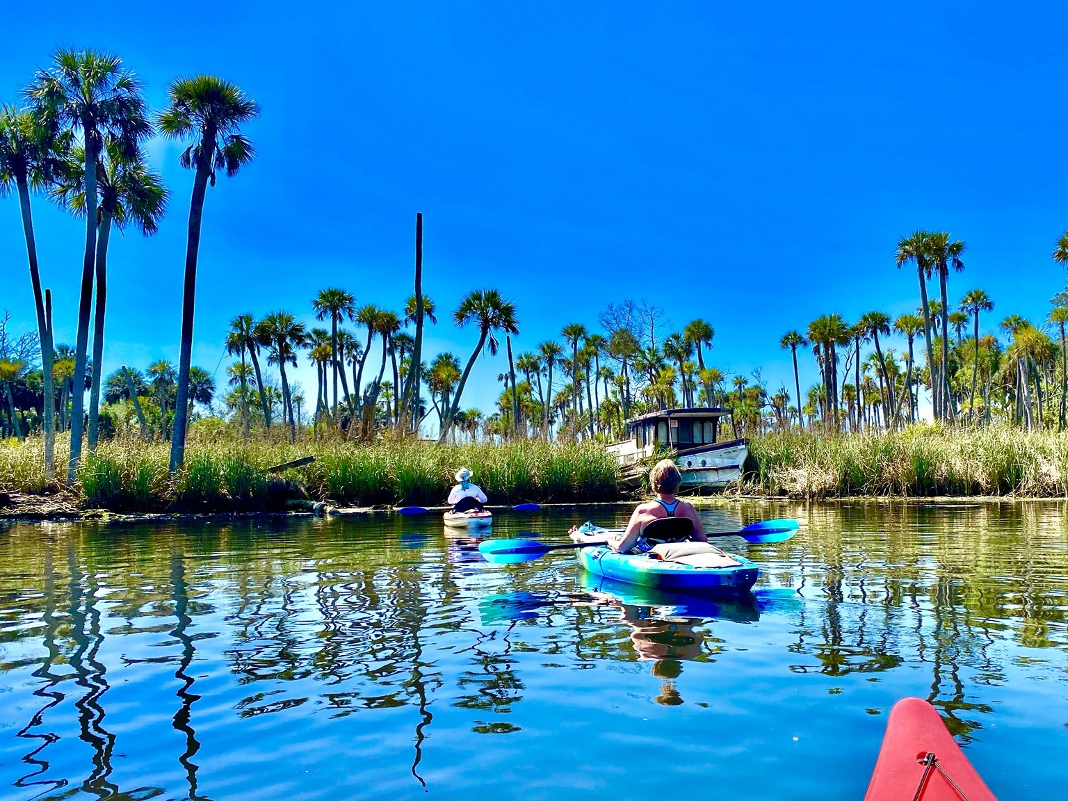 Paddlers spreading out across the broad, calm Chassahowitzka under a brilliant blue Florida sky.
