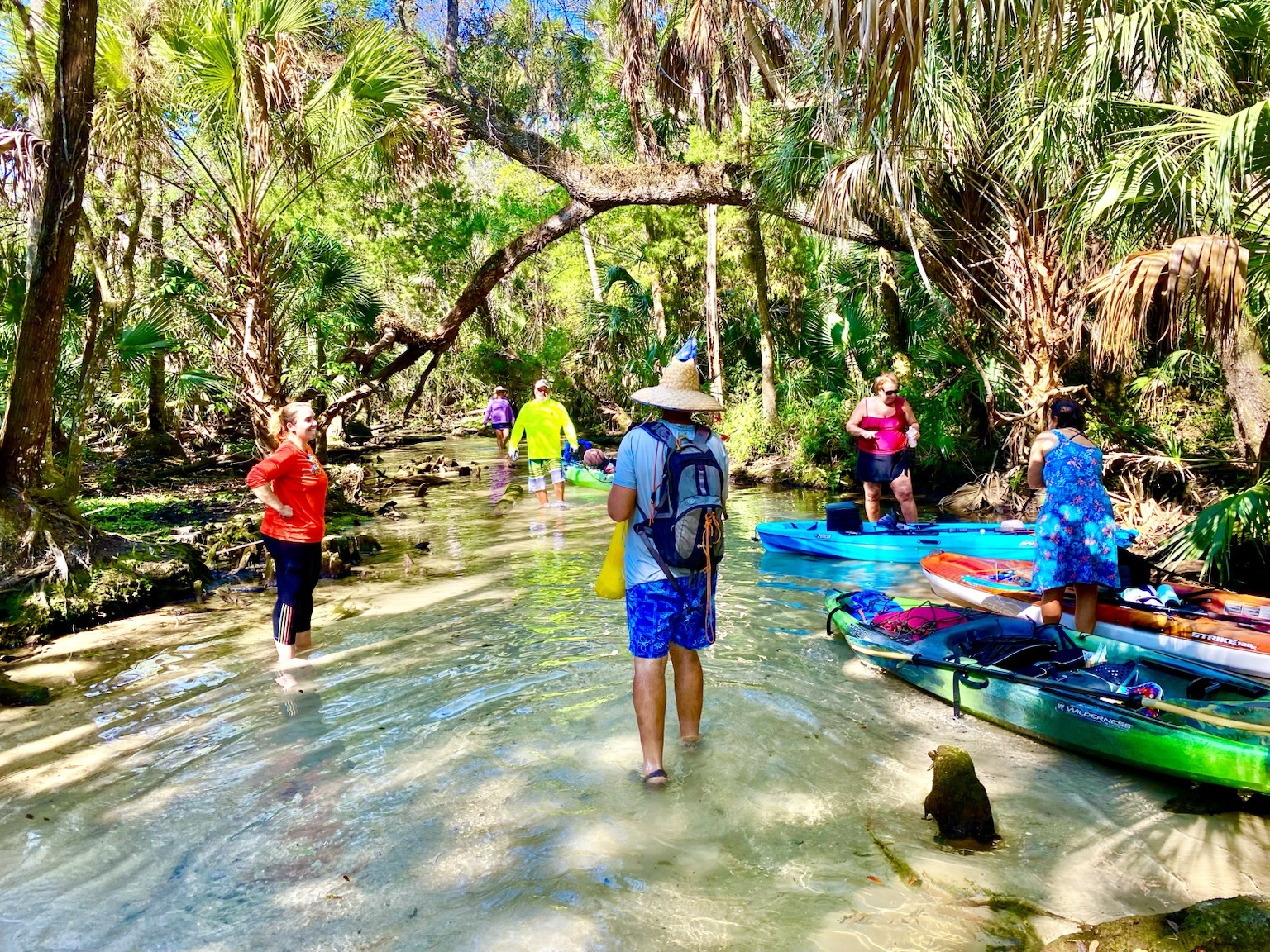 Cooling off in the sandy, crystal-clear shallows beneath the palms and hardwoods.