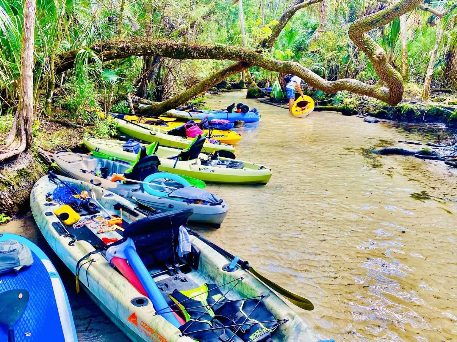 Kayaks lined along the bank during a spring stop.