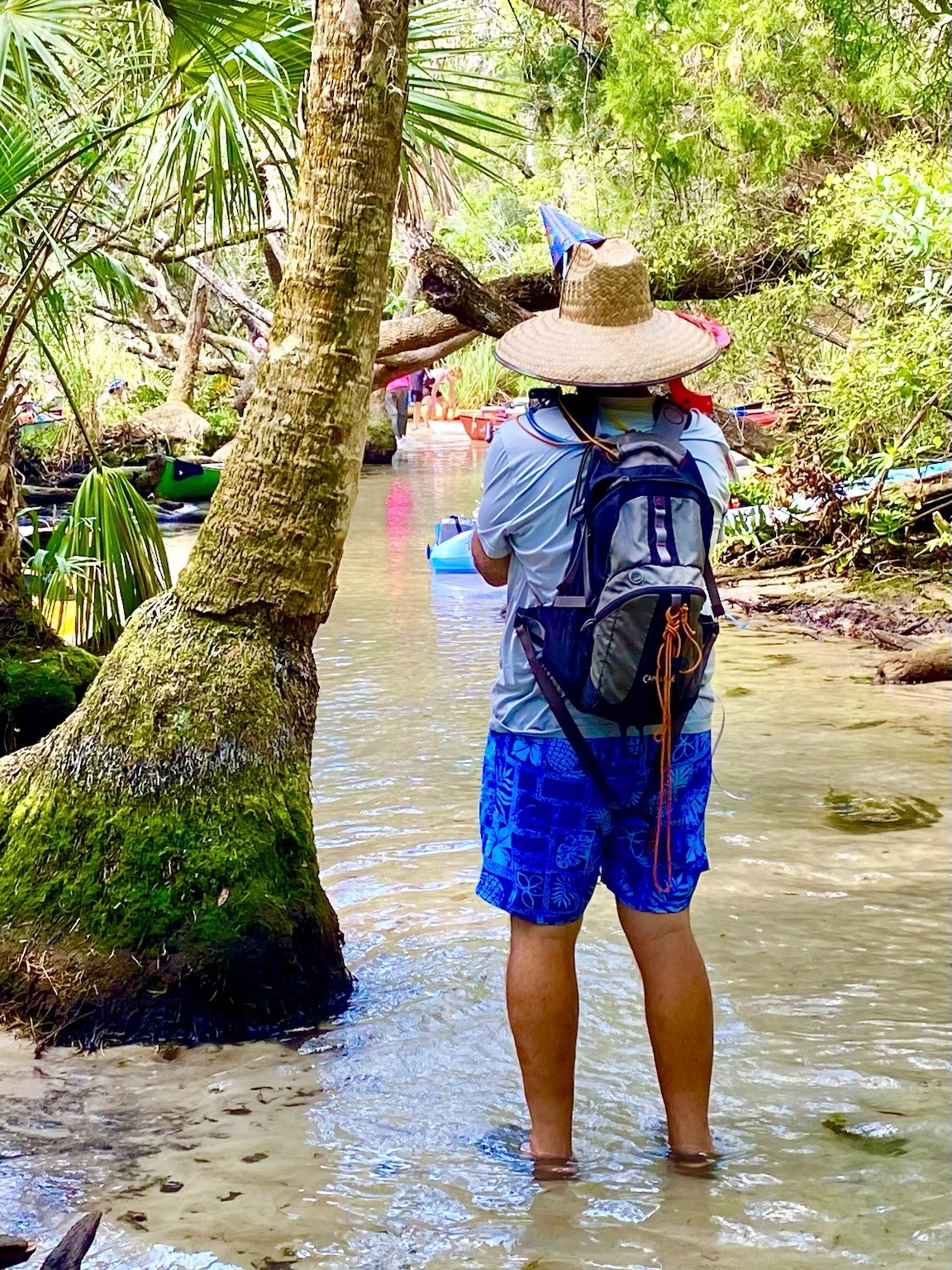 Layne, birthday hat and all, exploring the shaded spring area on foot.