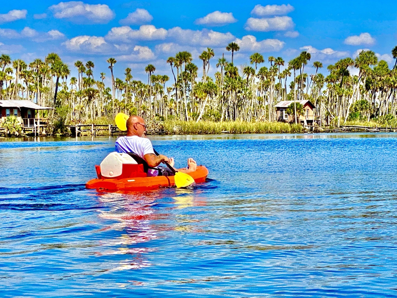 A relaxed paddle beside the palm-fringed shoreline.