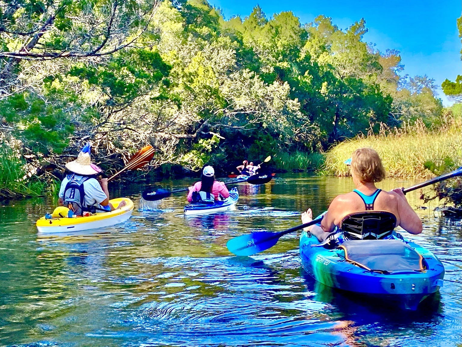 The group moving together through a shaded, narrower section of the river system.