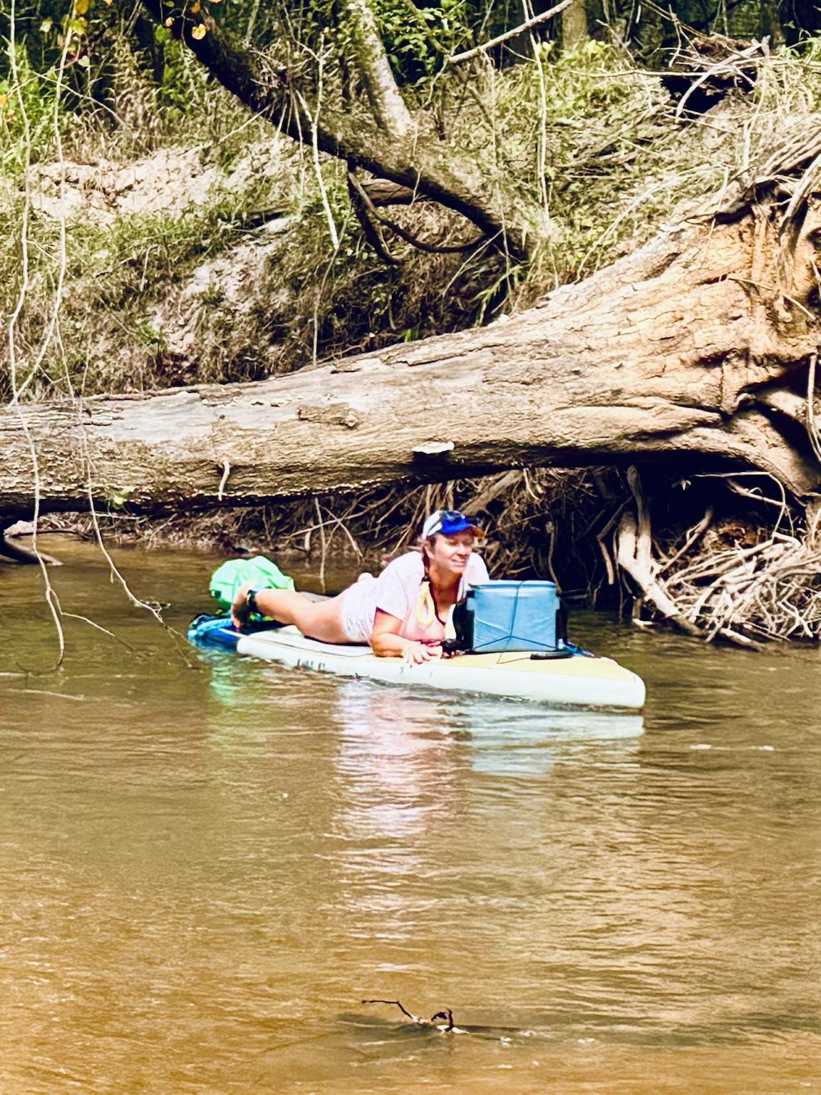 Kayaker ducking beneath a massive trunk