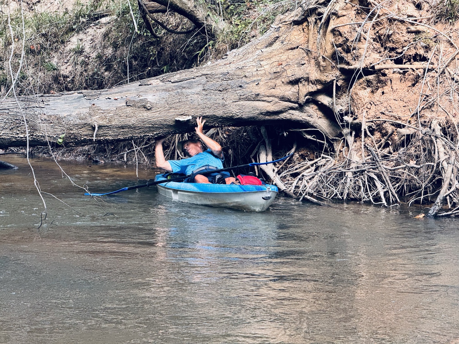 Kayaker clearing a low trunk