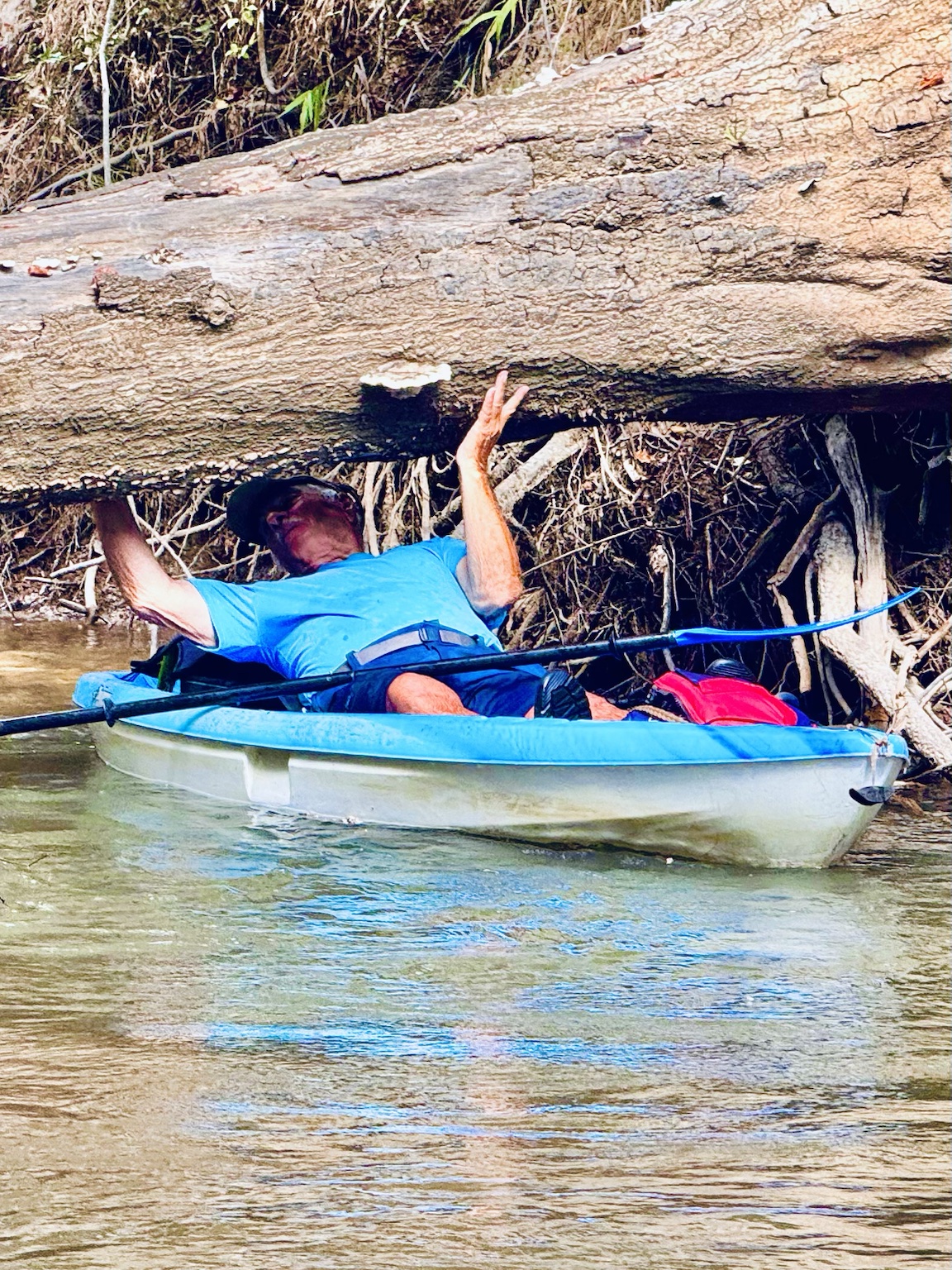 Paddler squeezing beneath a fallen tree