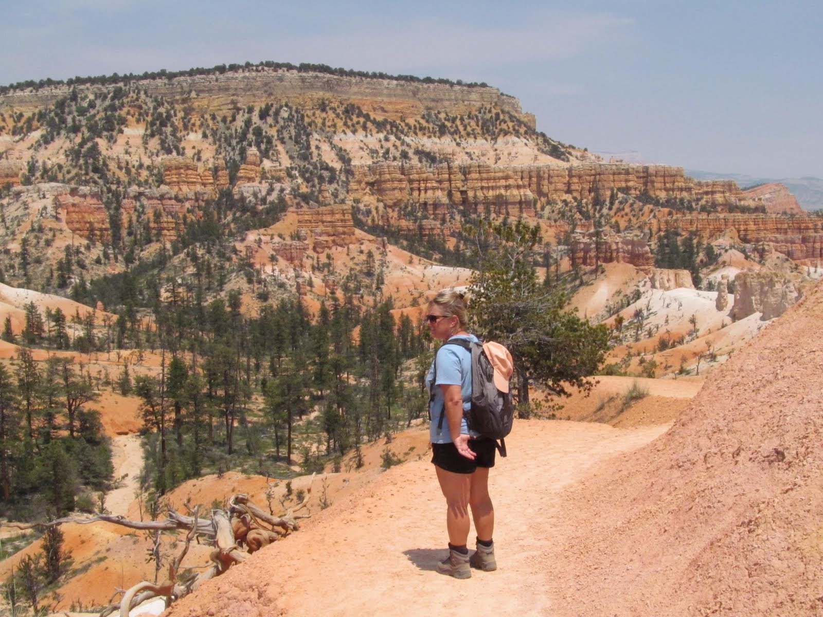 A sweeping view across the hoodoo-filled amphitheater at Bryce Canyon.