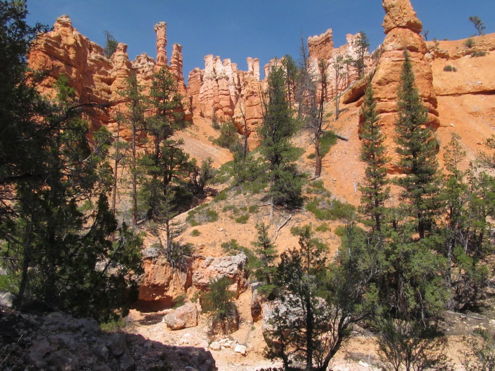 Sunlit hoodoos and deep shadows in Bryce Canyon National Park.