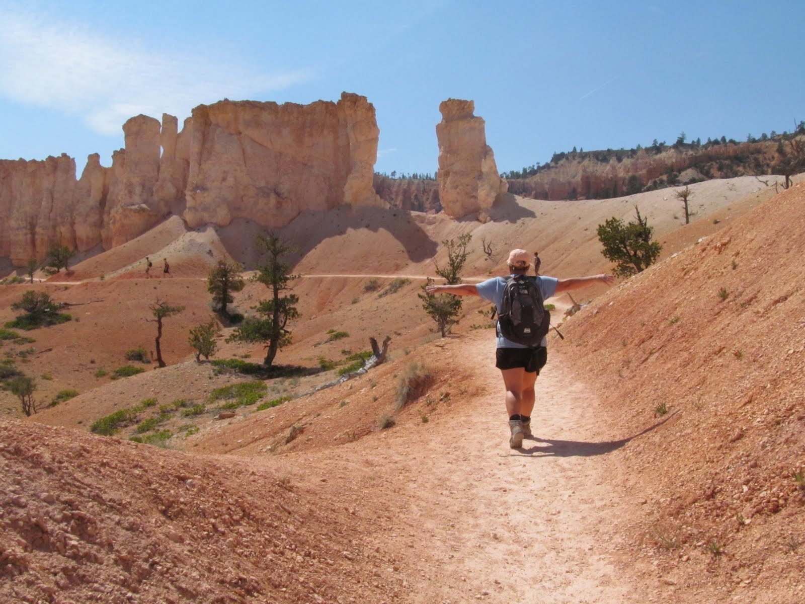 A winding trail crossing the orange slopes beneath the hoodoos.