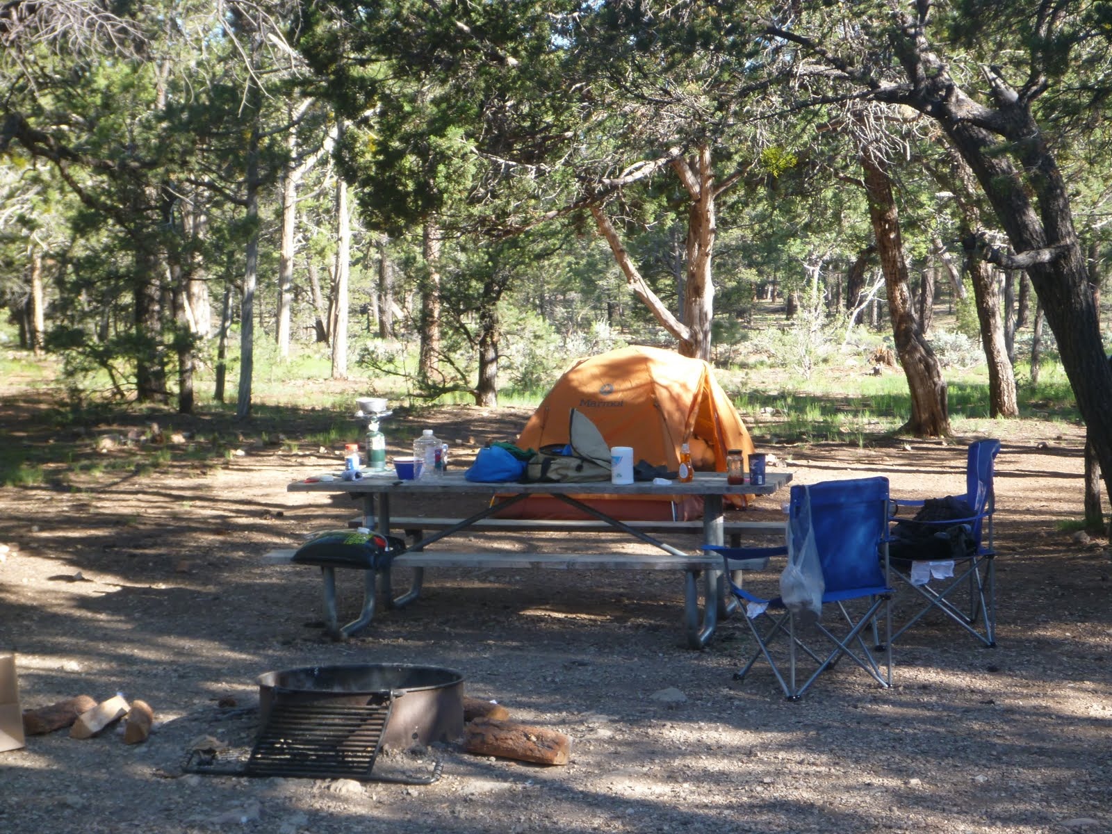 Our simple campsite beneath the trees during two weeks of traveling through canyon country.