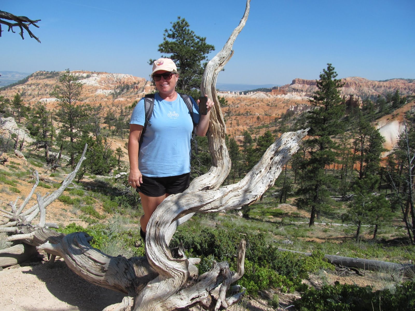 Cindy beside a weathered tree overlooking Bryce Canyon.