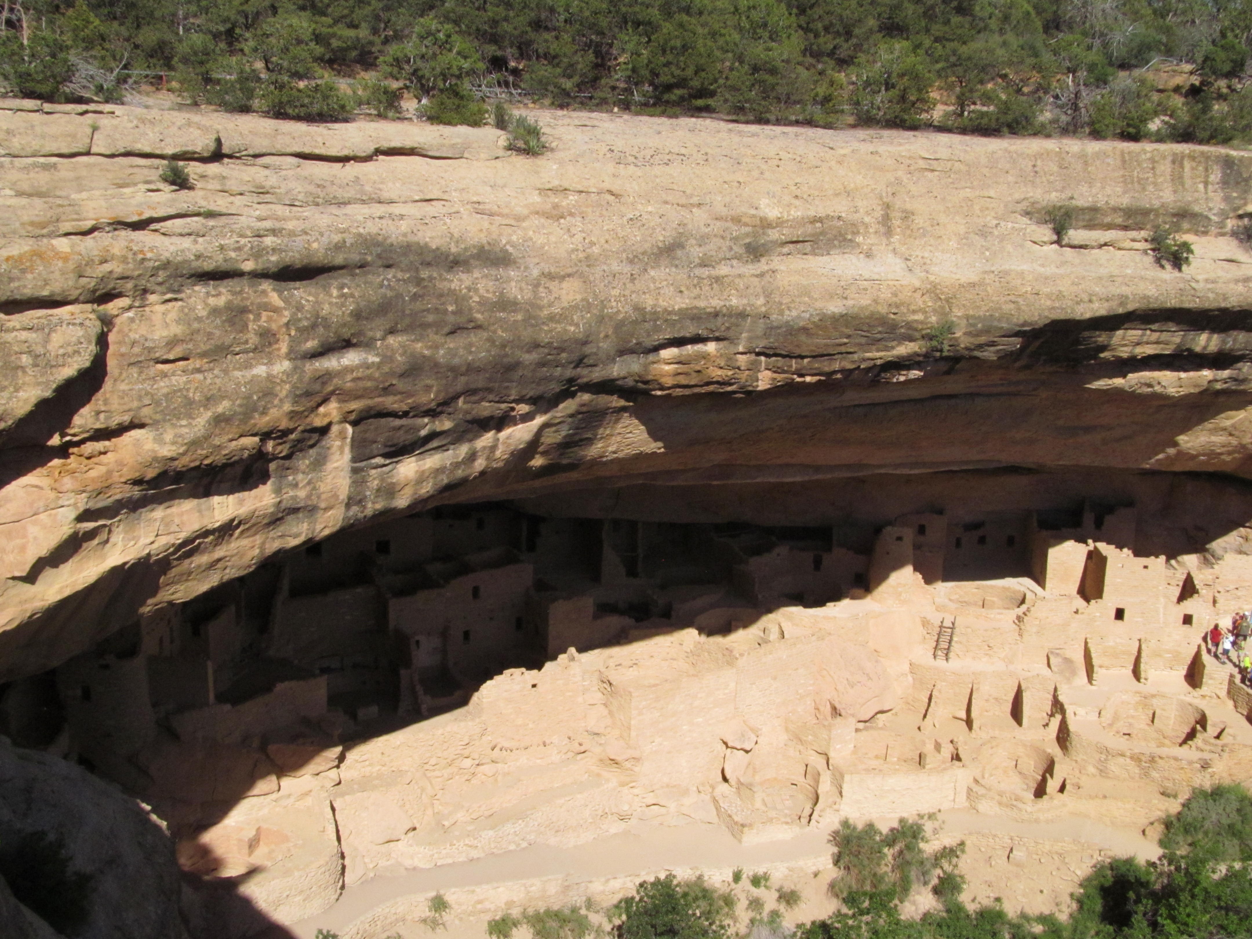 Cliff Palace seen across the canyon, revealing the scale of the settlement.