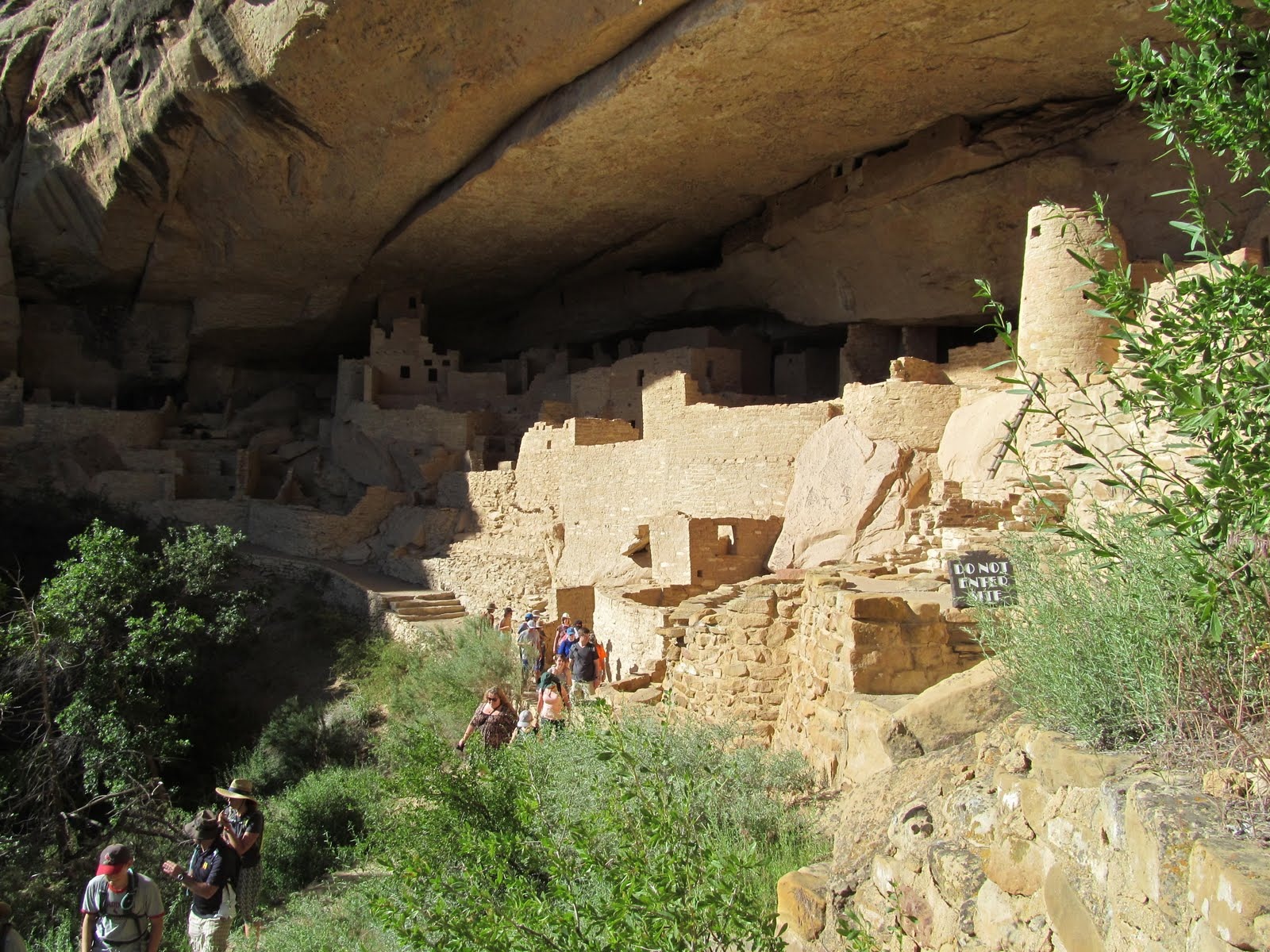 Cliff Palace tucked beneath the immense natural roof of the alcove.
