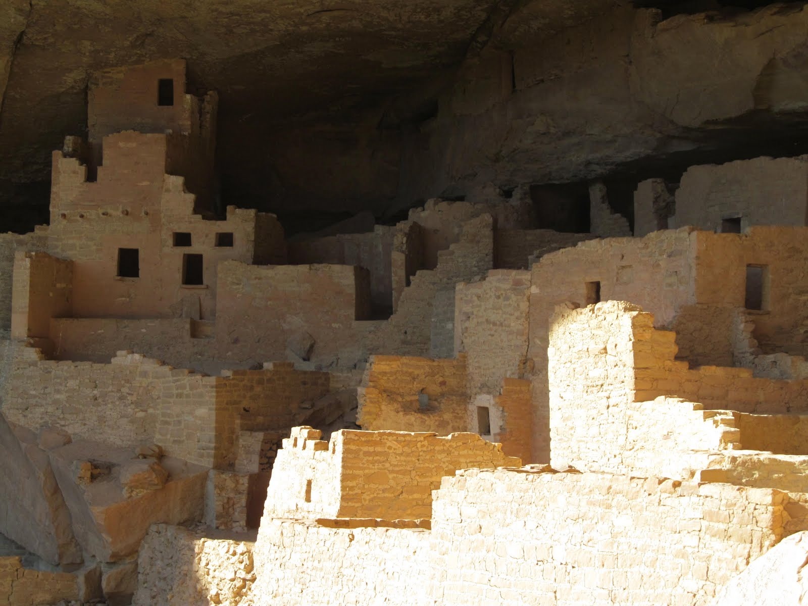 Cliff Palace divided by brilliant sunlight and deep alcove shadow.