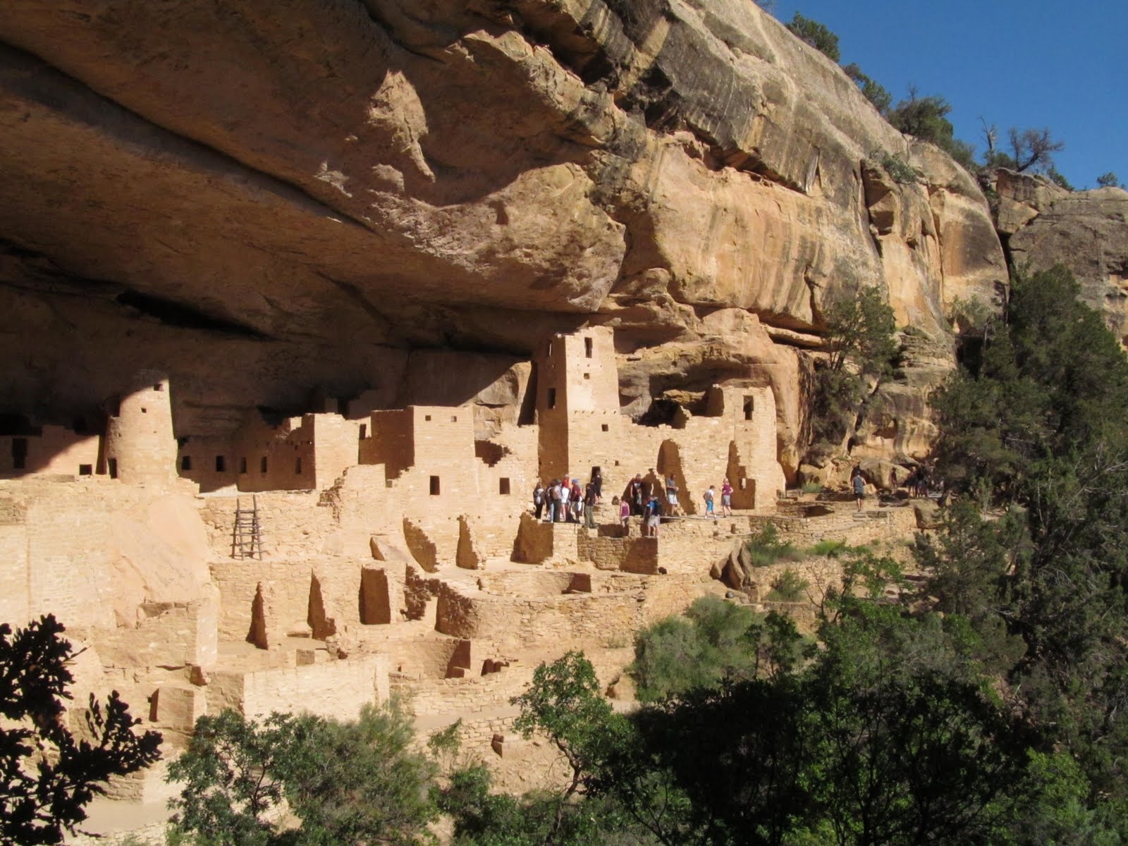 The towers, rooms, and plazas of Cliff Palace glowing in the afternoon light.