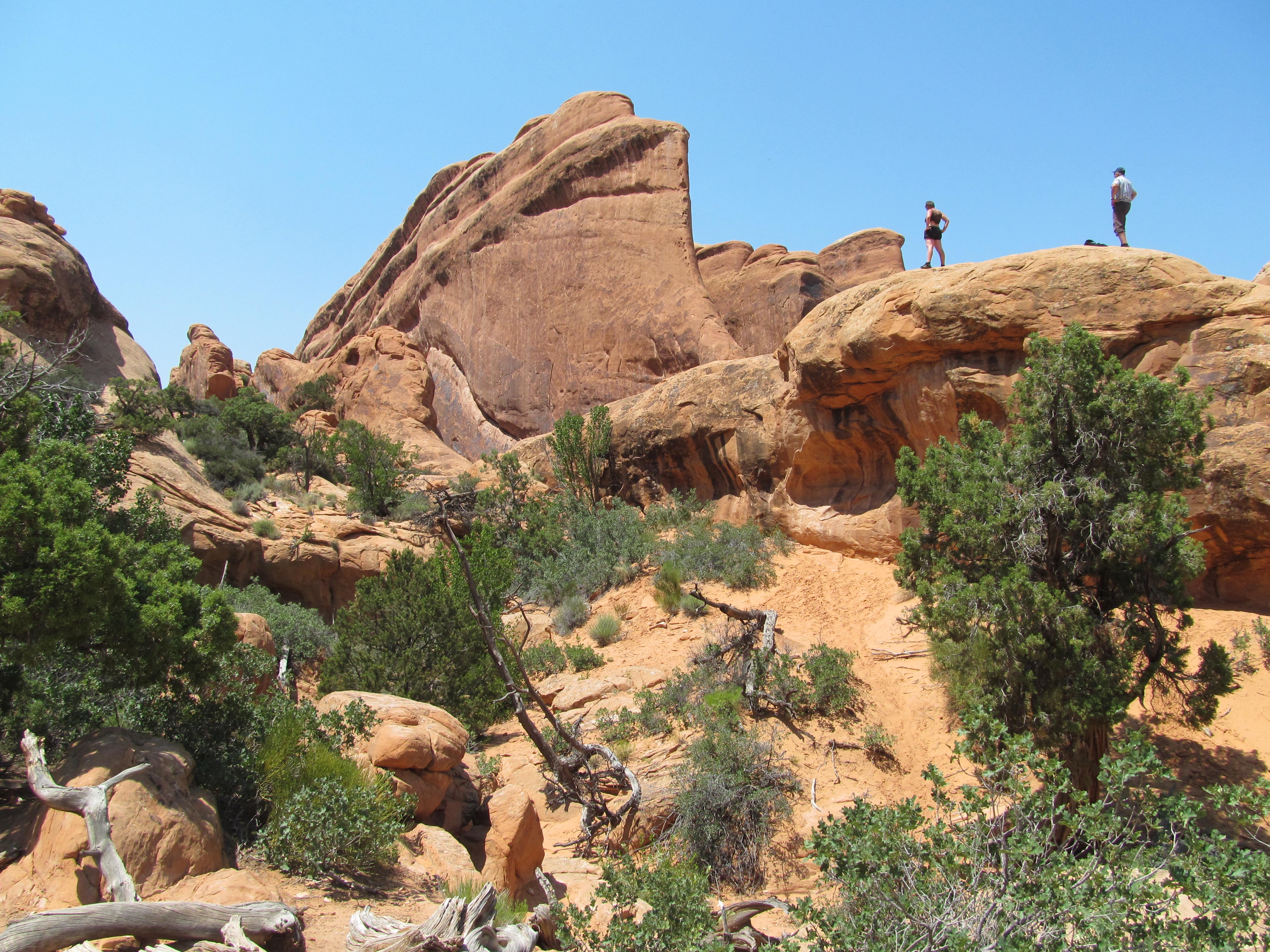 Hikers climbing a sandstone ridge in Devils Garden.