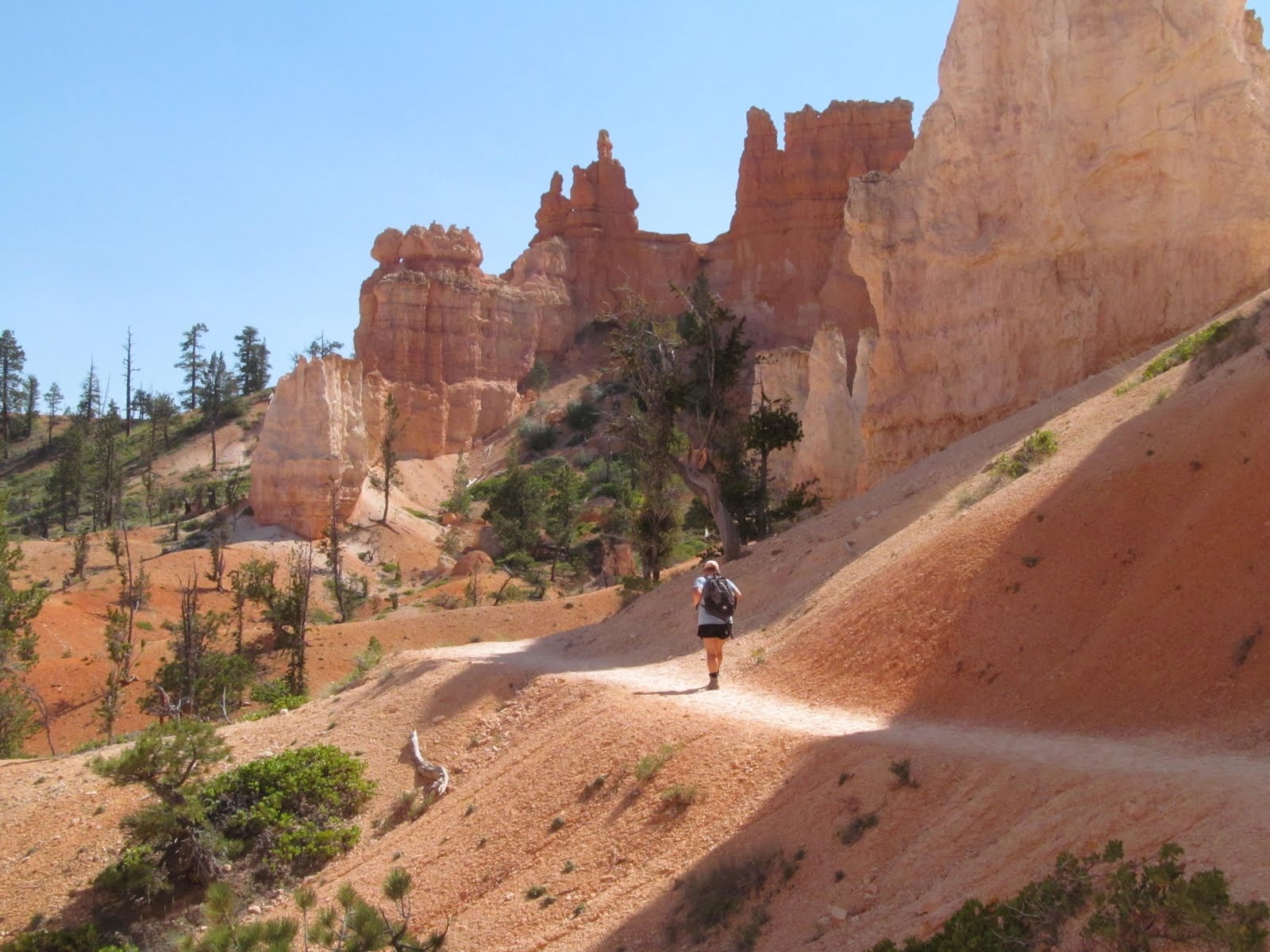 A lone hiker following the pale trail through the Bryce formations.