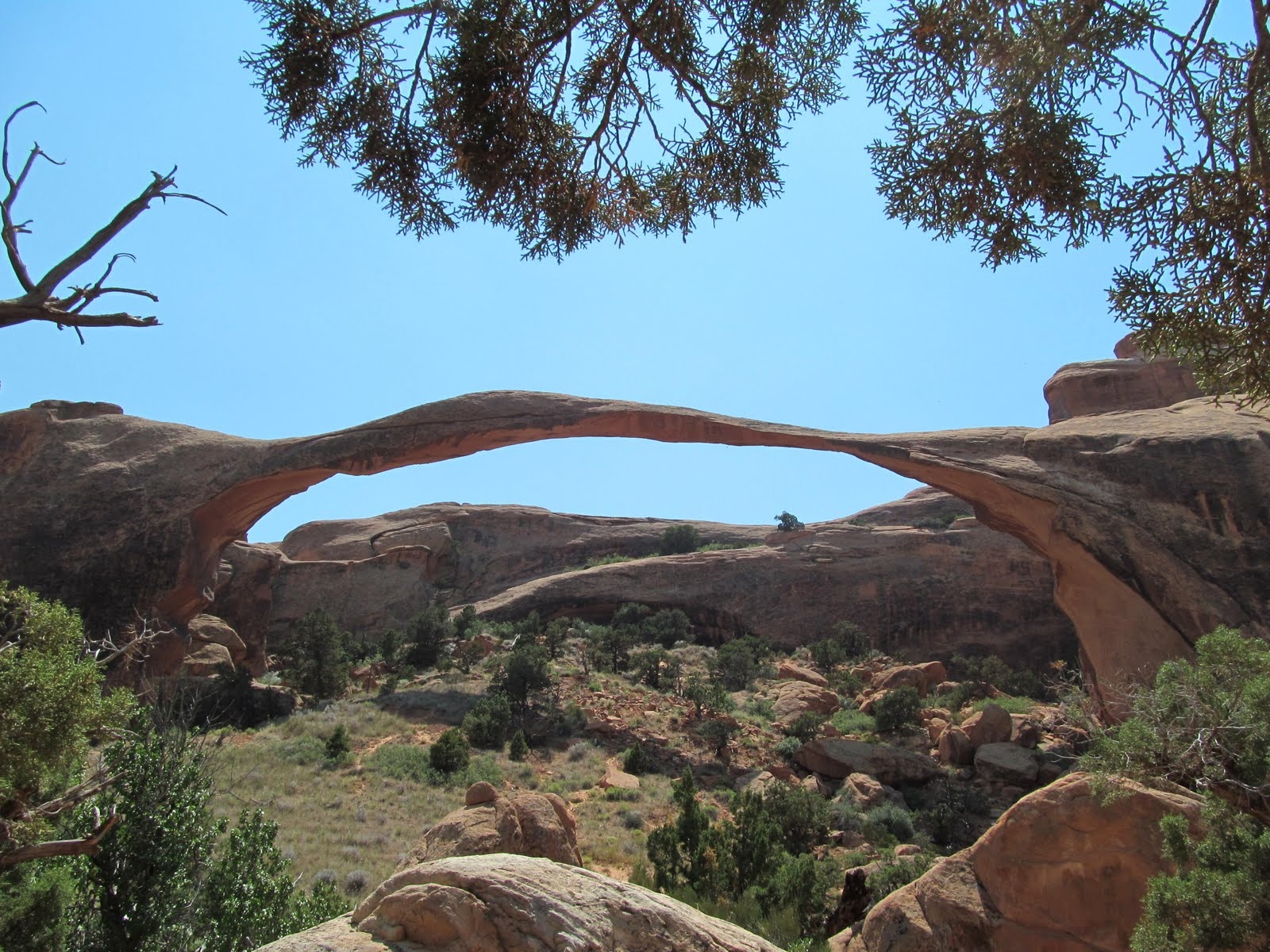The extraordinary span of Landscape Arch beneath a blue Utah sky.