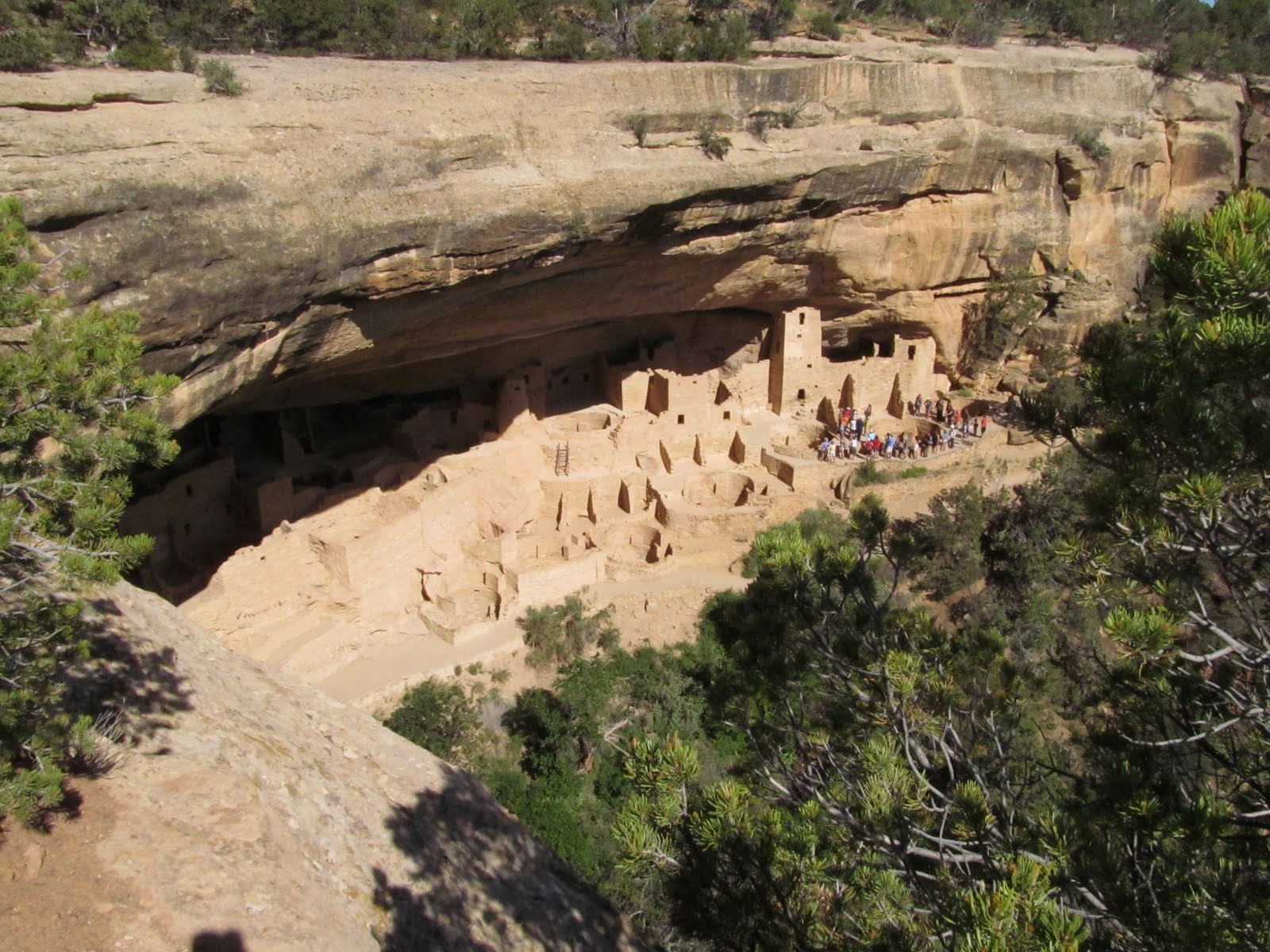 A distant view of Cliff Palace set beneath a vast sandstone alcove.