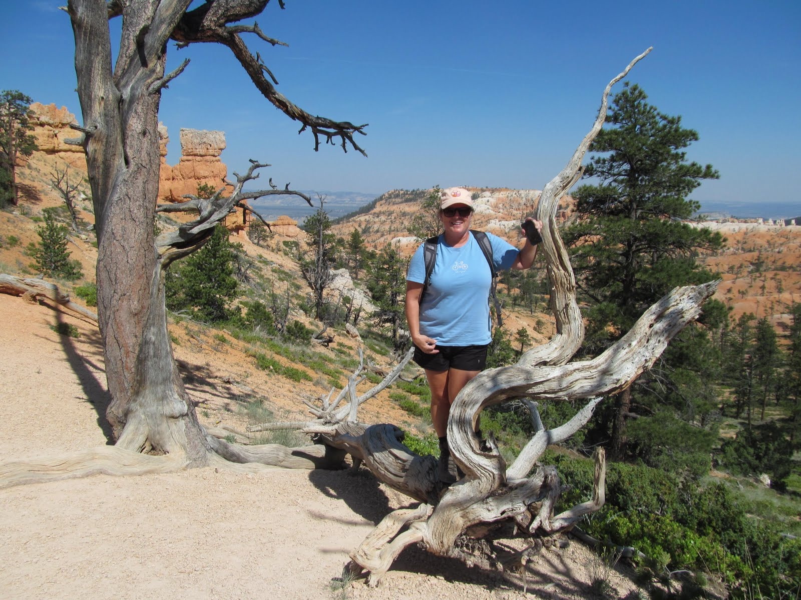 Tim standing beside a twisted tree at a Bryce Canyon overlook.