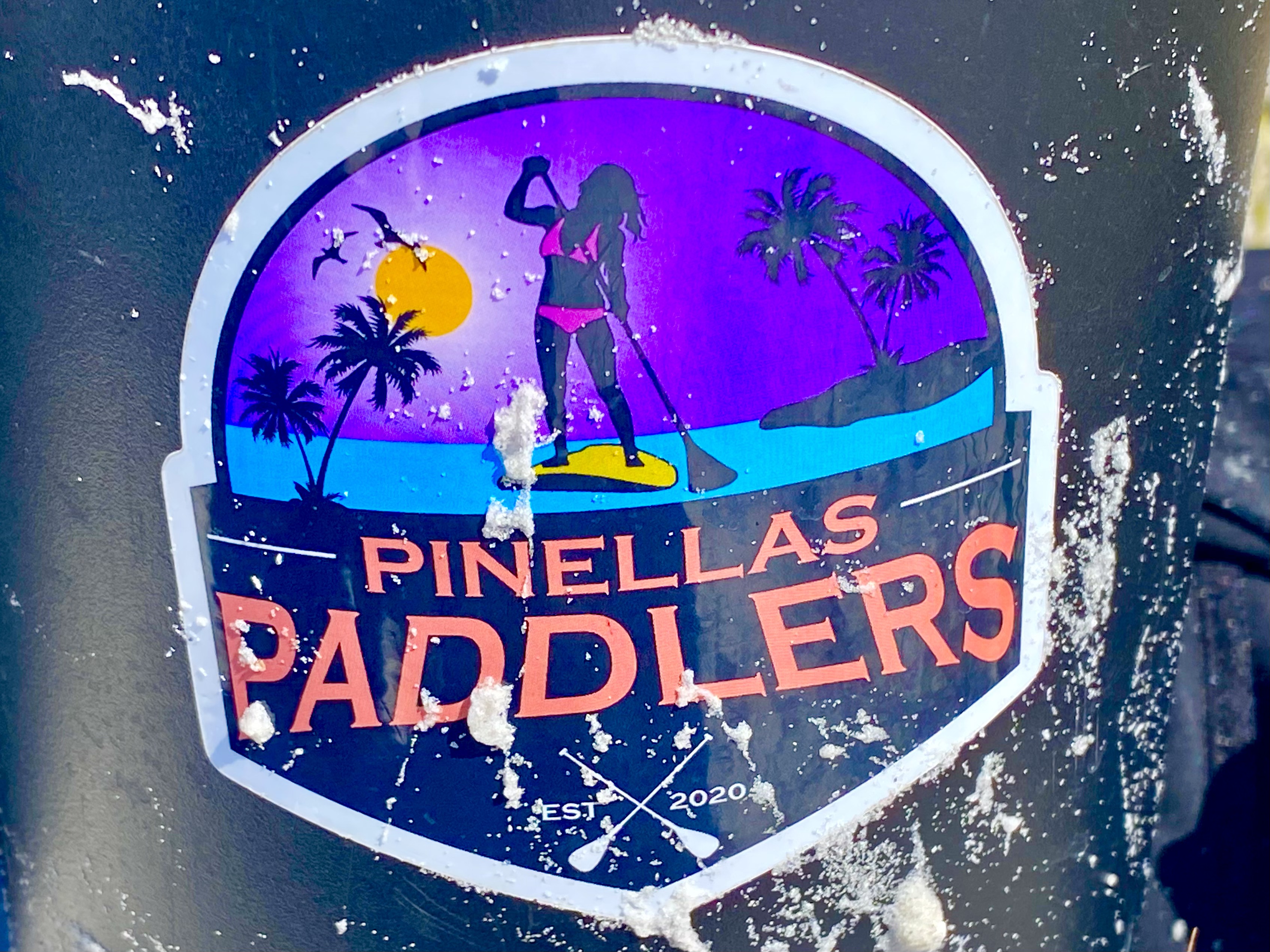 The well-traveled Pinellas Paddlers emblem, splashed with saltwater and sand.