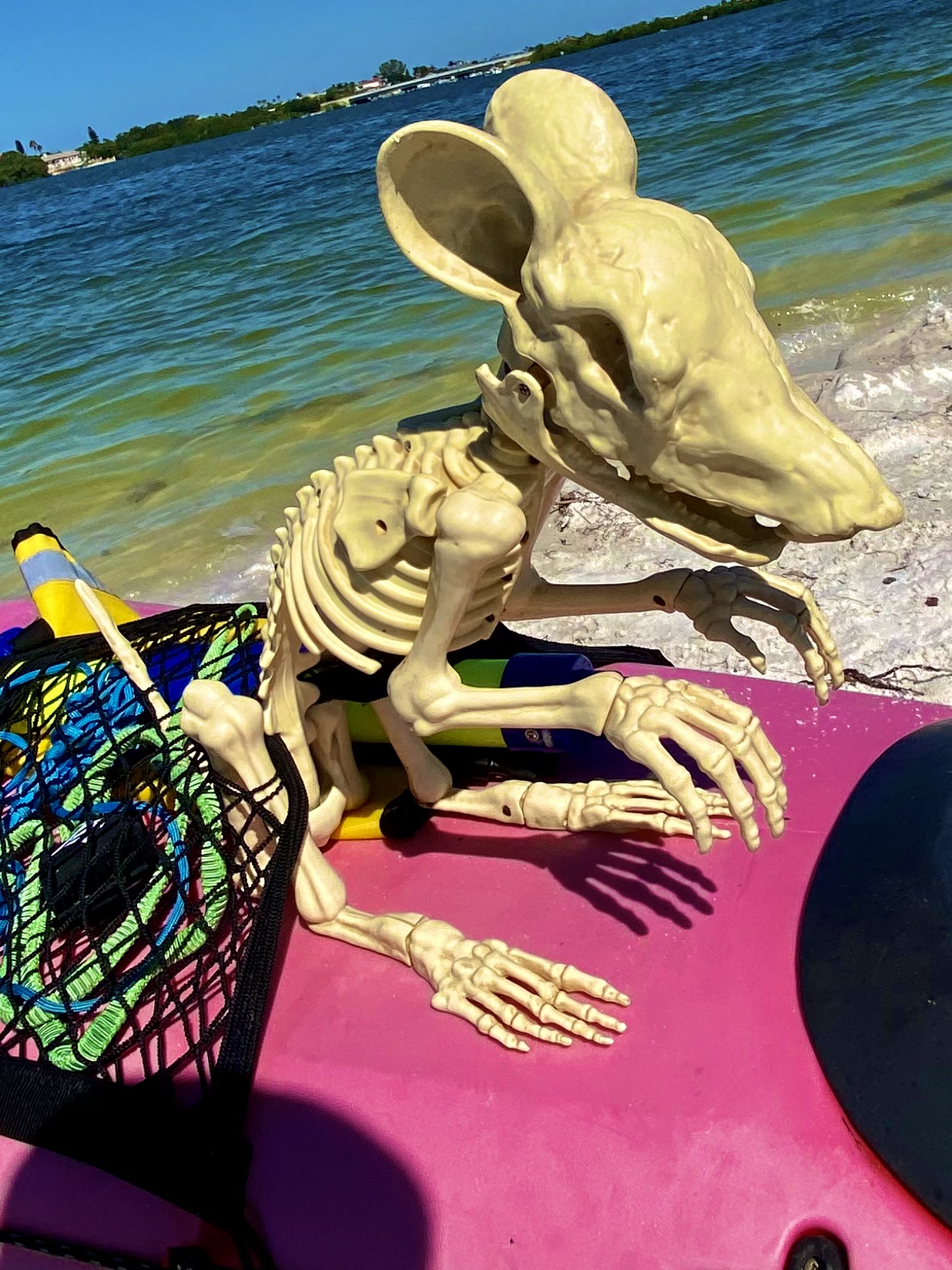 A playful skeleton passenger adds a little October humor to the paddle.