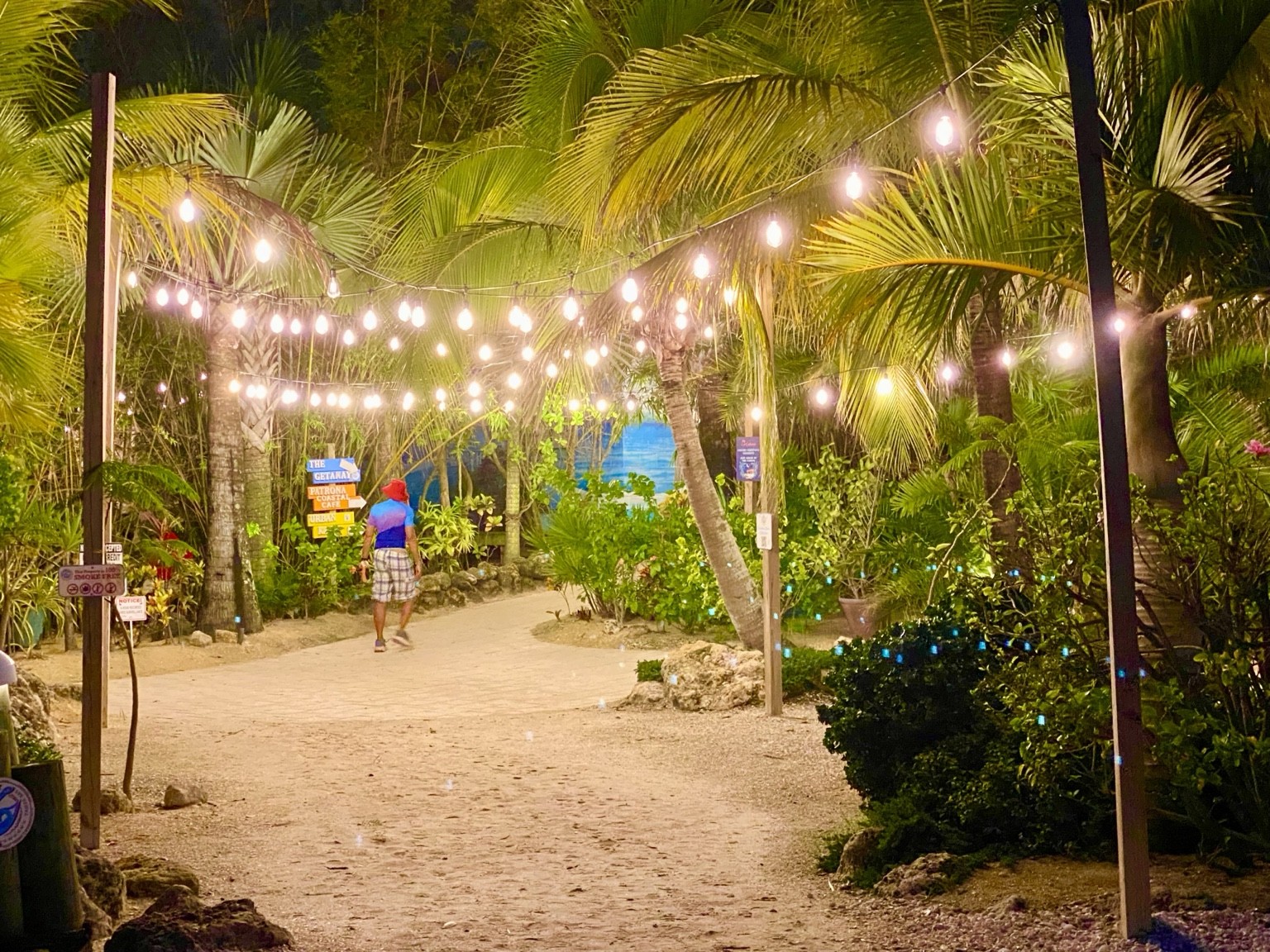 The Getaway lights