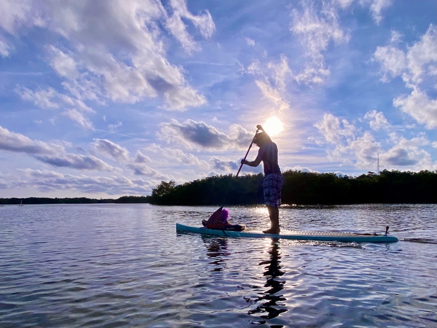 Sunset paddleboarder