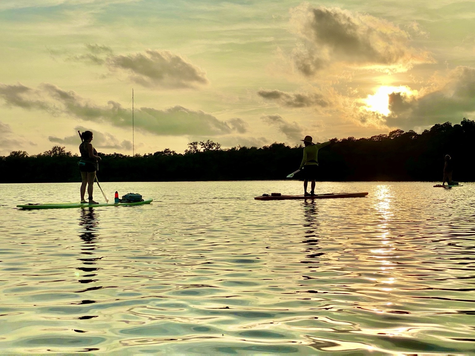 Sunset paddlers