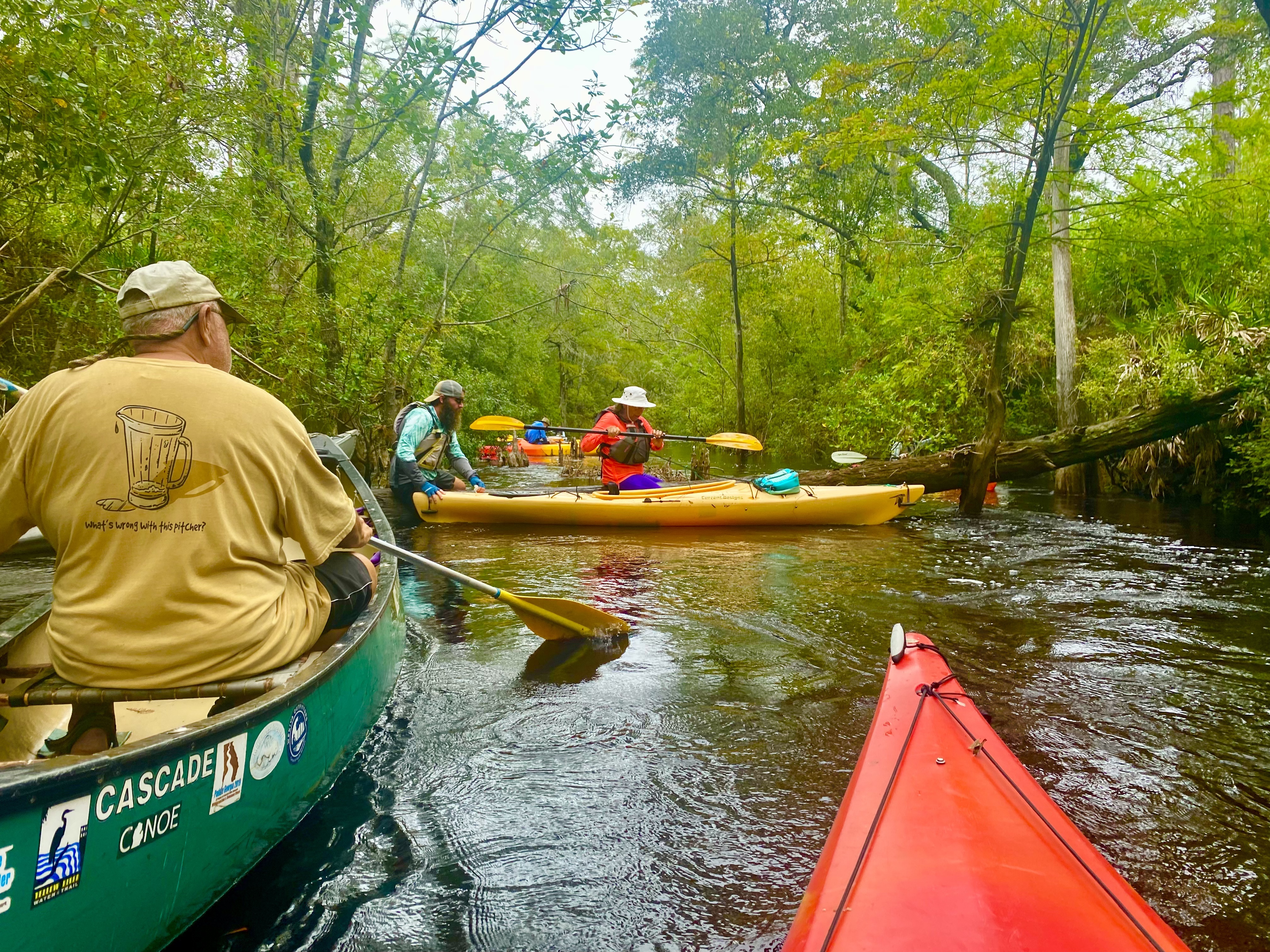 Dense green vegetation along the Sopchoppy River corridor