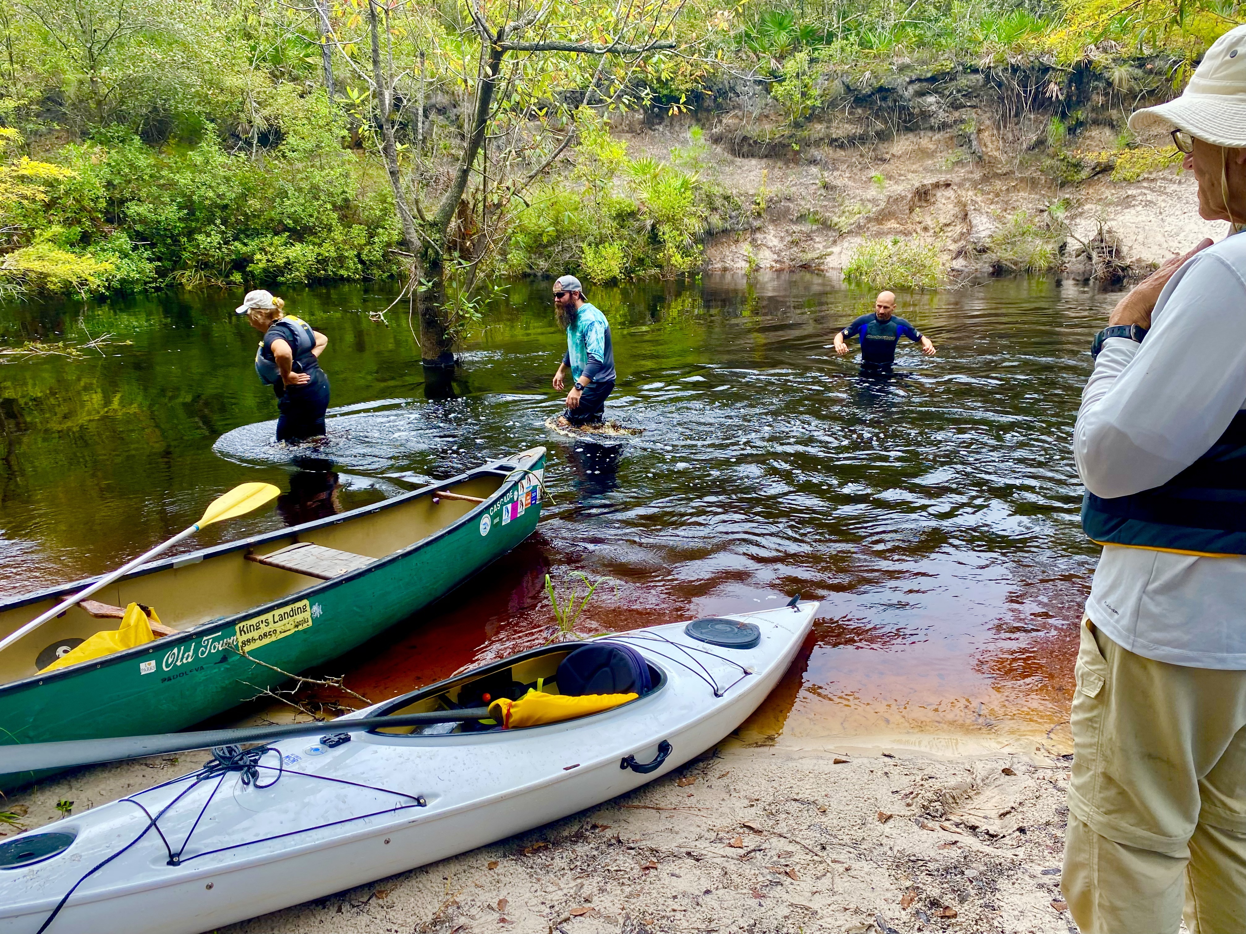 Narrow wooded passage in the Sopchoppy River corridor