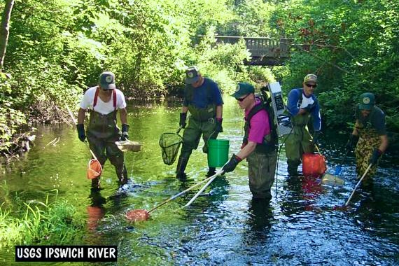A USGS crew working directly in the Ipswich River while documenting habitat conditions.