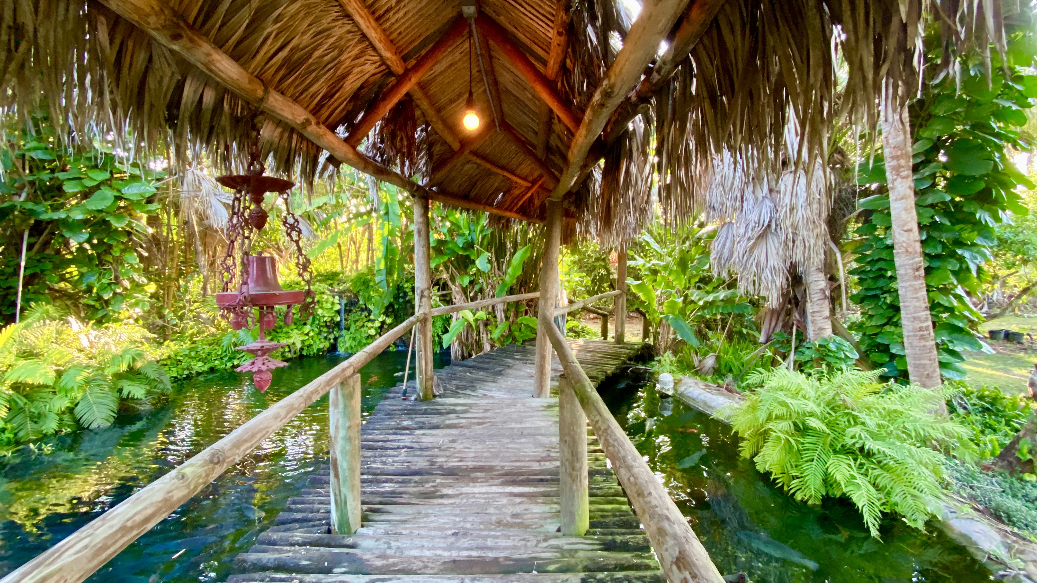 A lush tropical walkway leading into the peaceful Redlands retreat grounds.