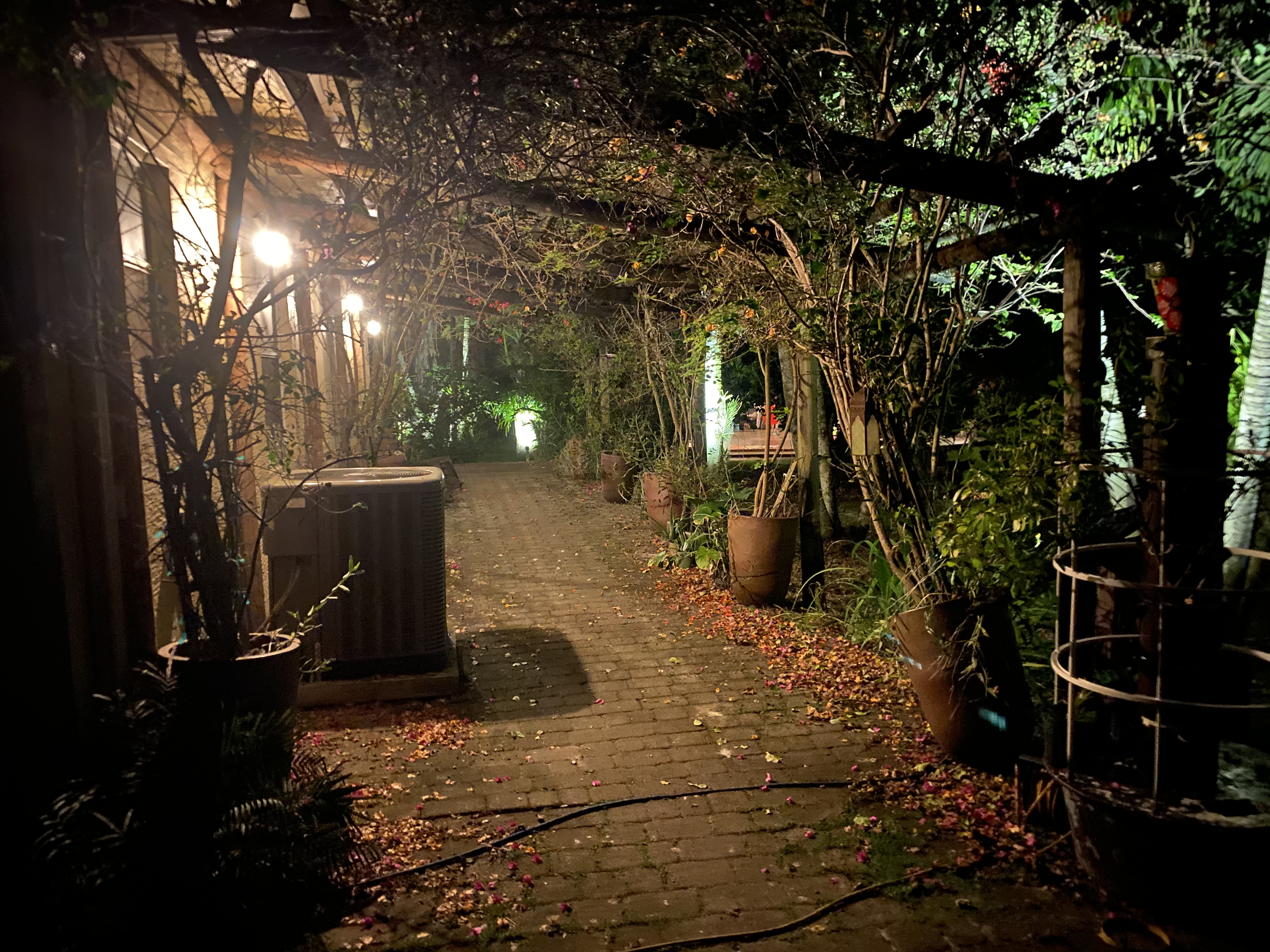 A quiet pathway through the tropical retreat grounds.