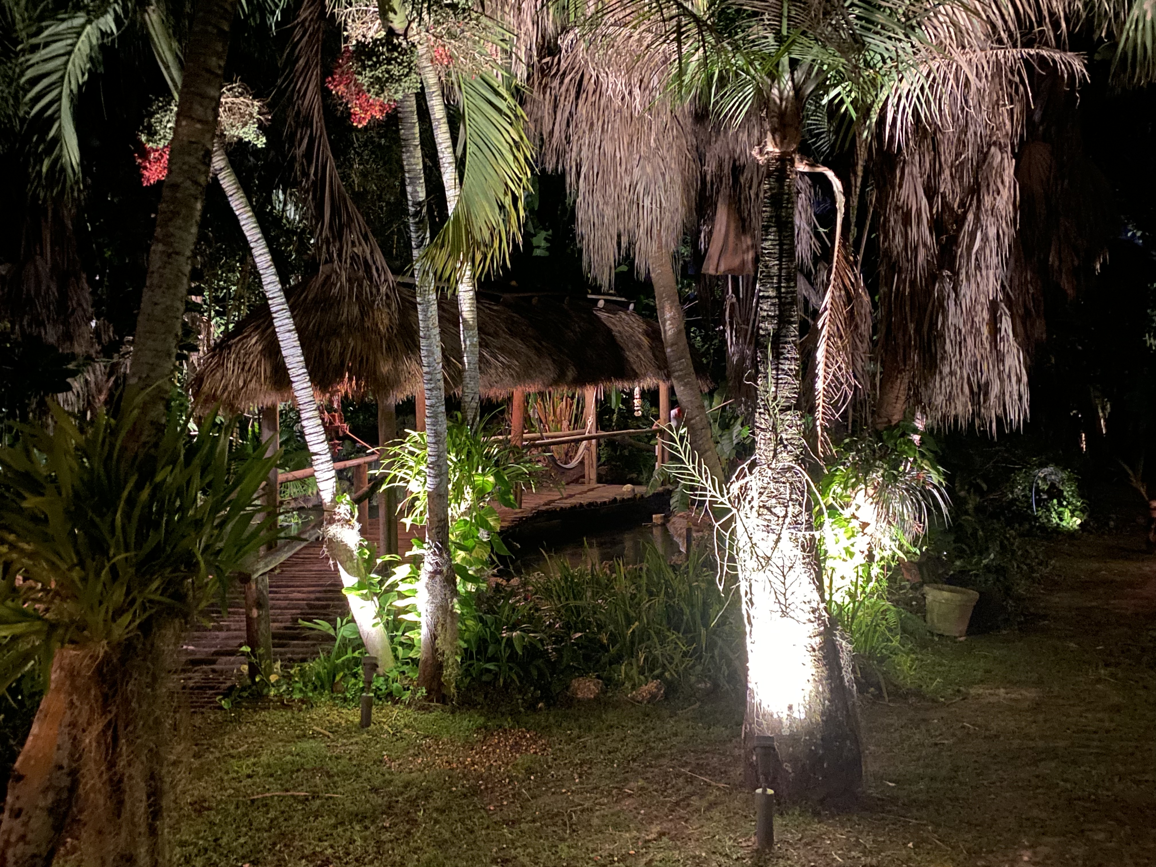 Old trees and tropical plants illuminated along the garden paths.