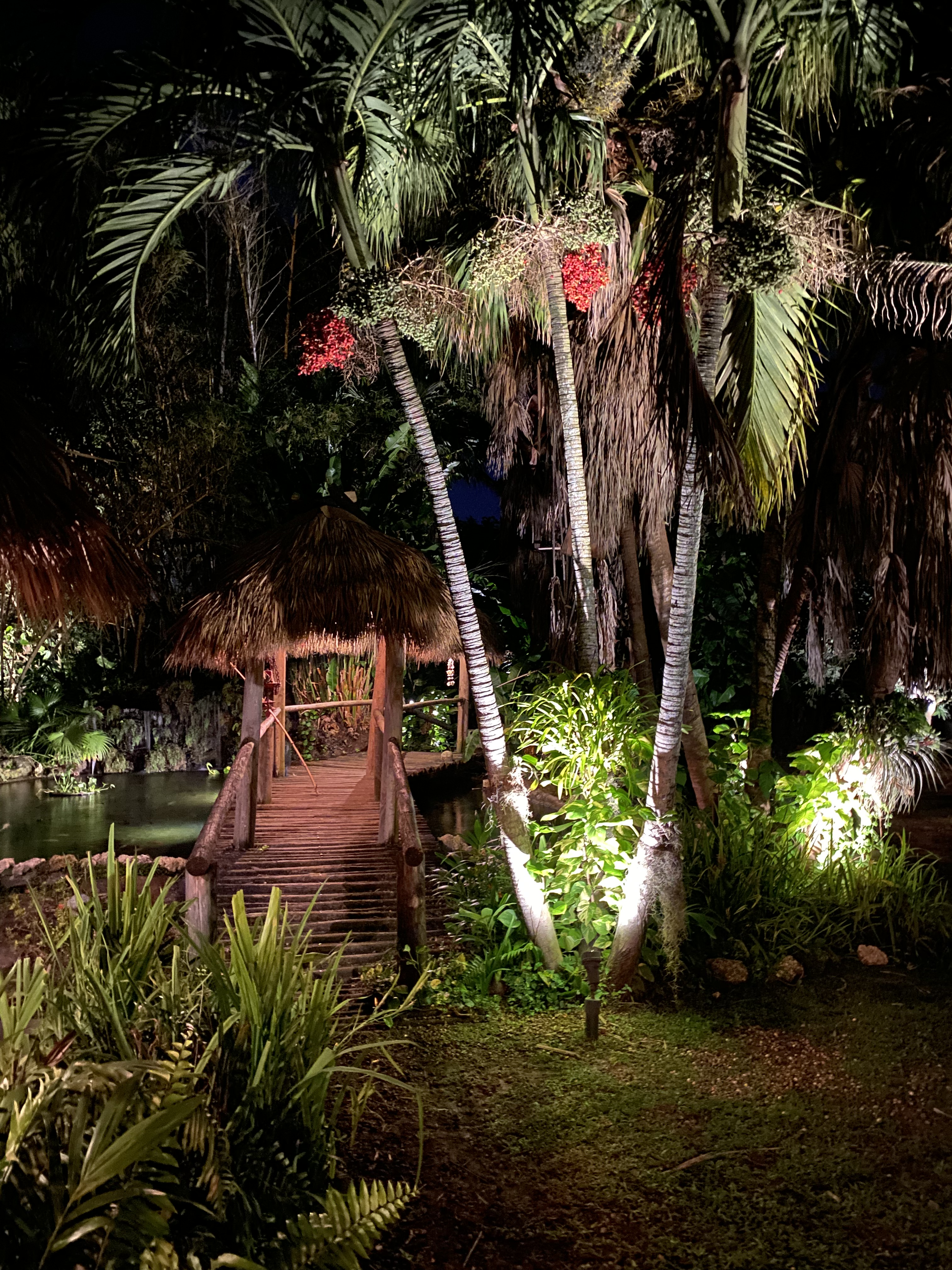 A softly lit garden path winding through palms and hanging moss.