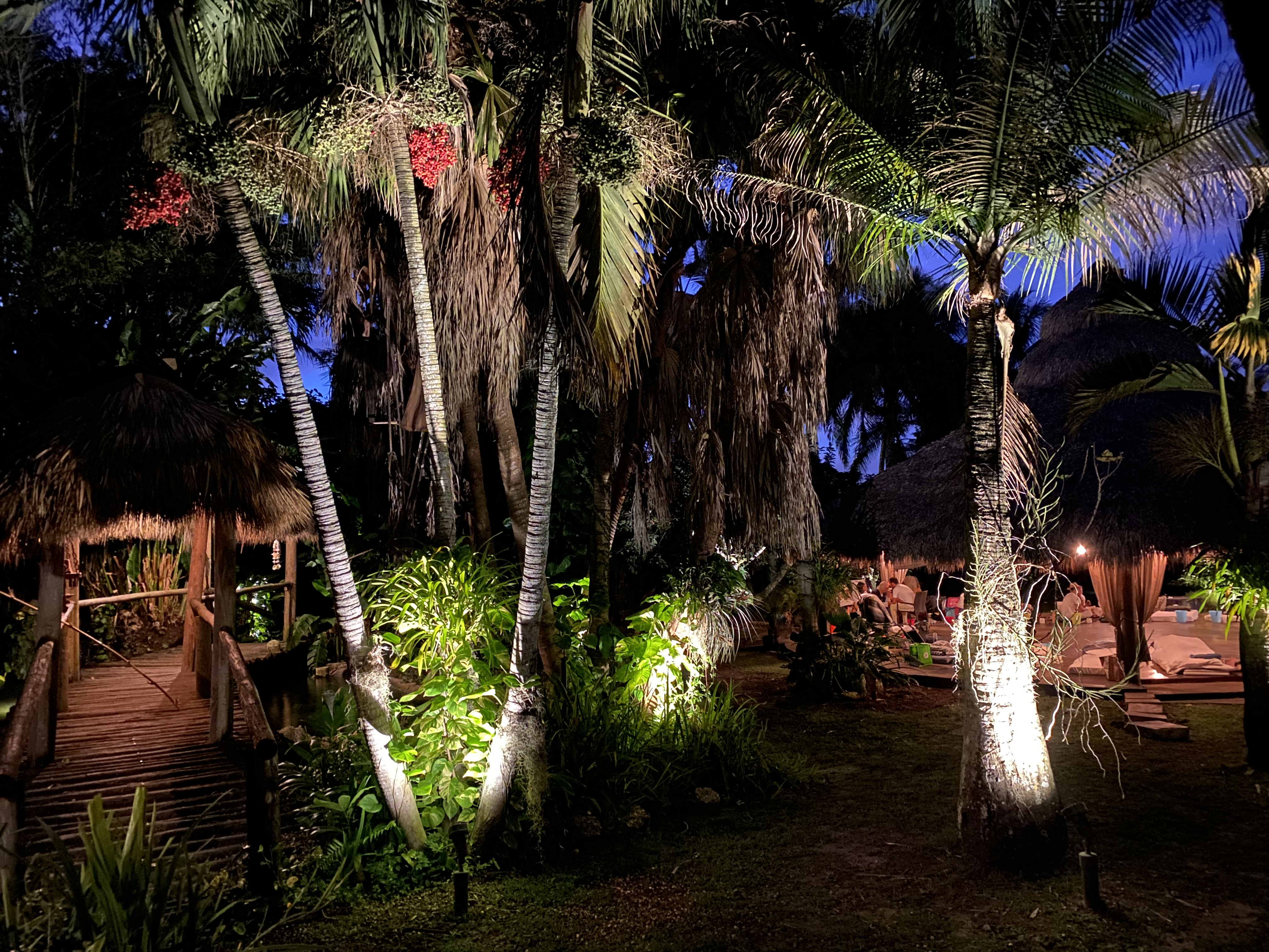Palms, hanging moss, and soft lights creating a peaceful nighttime setting.