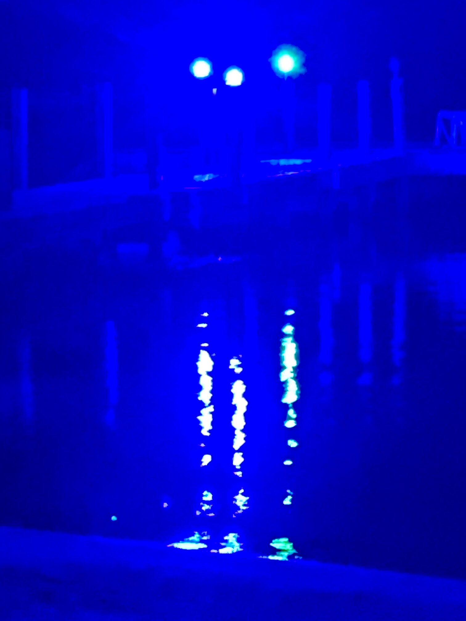 Blue lights reflecting across the quiet bay.
