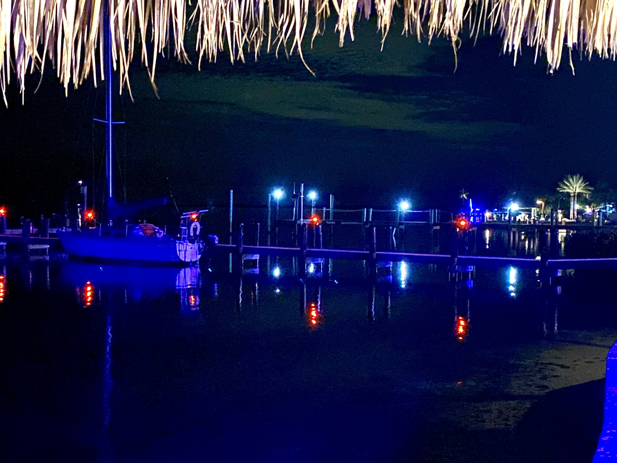 Looking across the marina from beneath the tiki roof.