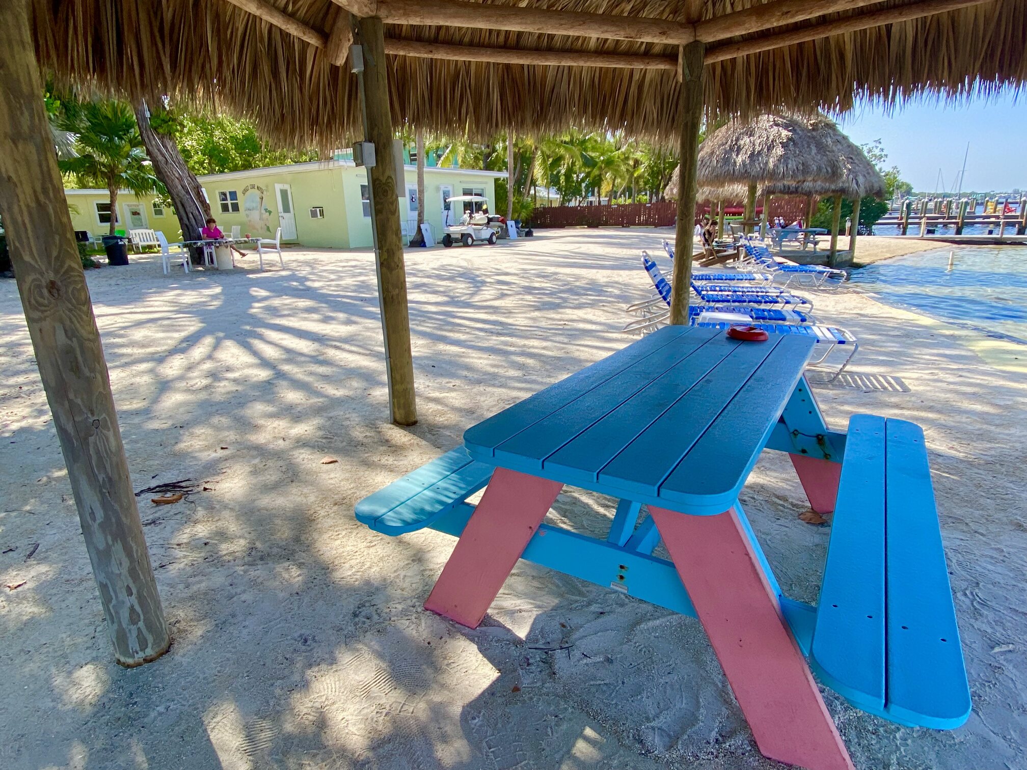 A shaded picnic table beneath the tropical canopy.