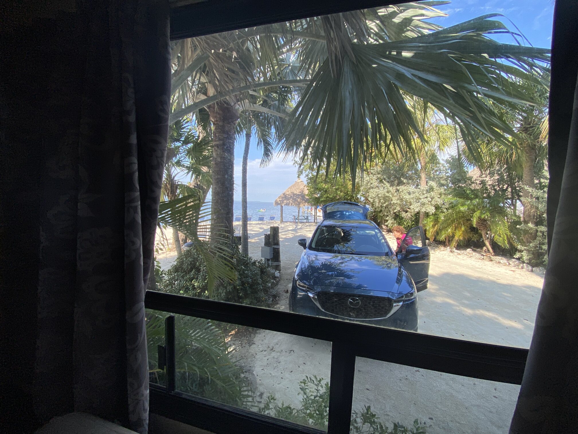 A leafy view from inside the cottage.